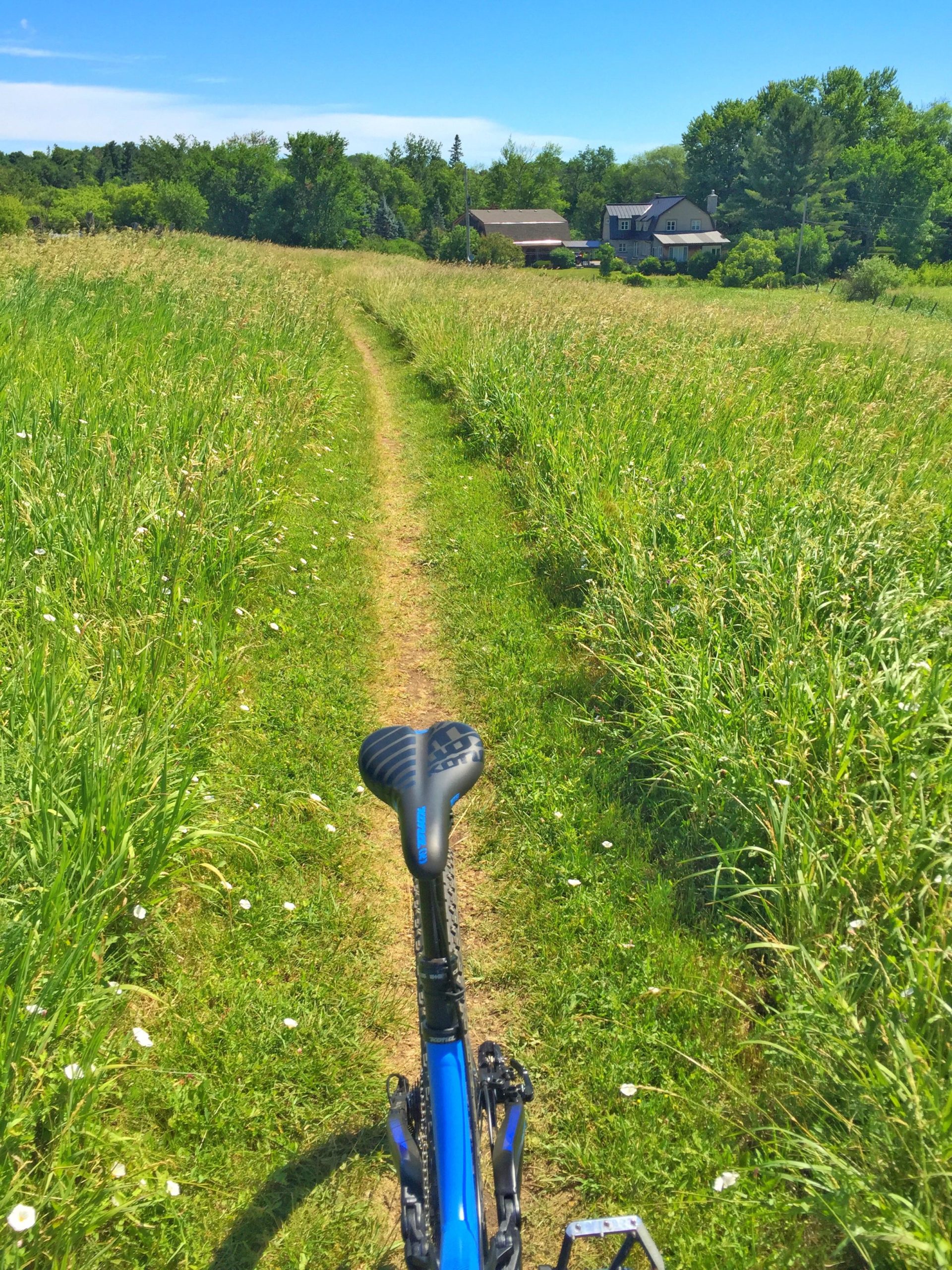A view from the seat of a blue mountain bike on a narrow, grassy path winding through a lush green field, with houses visible in the background under a clear blue sky. Almonte Riverside Trail mountain bike trail.