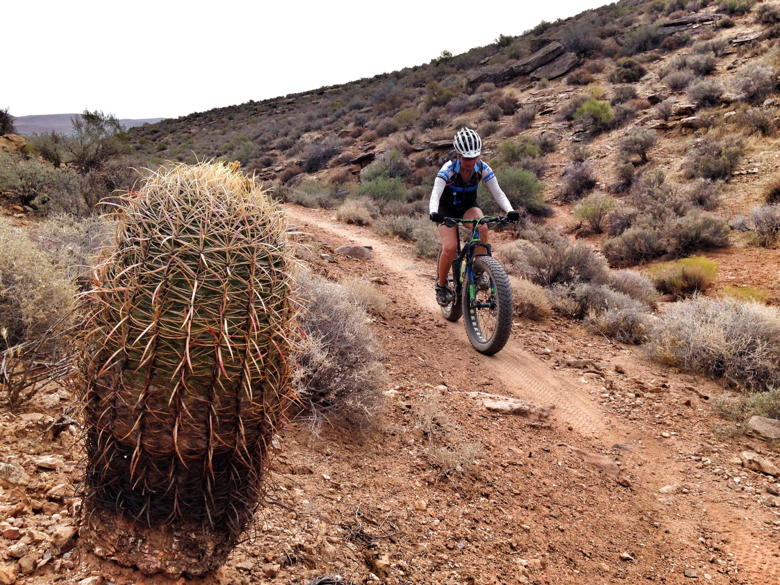A cyclist riding a fat bike along a rugged dirt trail in a desert landscape, with a large cactus in the foreground and arid hills in the background. Barrel Roll mountain bike trail.