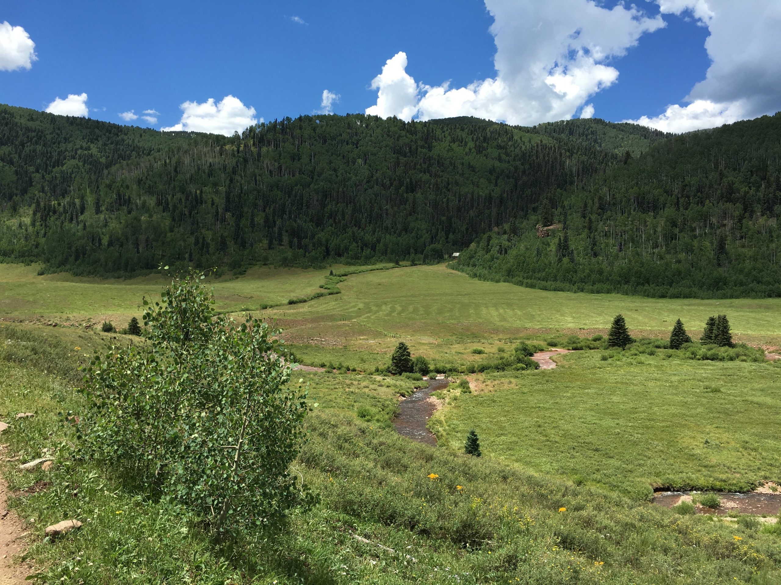 A lush, green valley surrounded by tall mountains under a blue sky dotted with fluffy white clouds. A small stream winds through the foreground, with patches of wildflowers and dense vegetation. The landscape features a mix of aspen trees and conifers, creating a vibrant natural setting. Hermosa Creek Trail mountain bike trail.