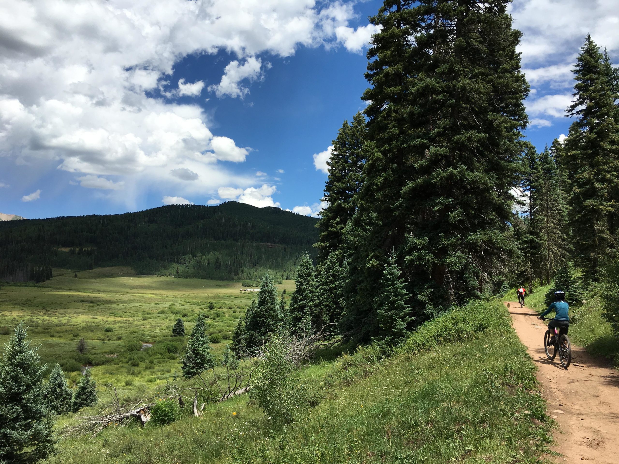 Two cyclists ride along a dirt path through a lush green forest with tall pine trees. In the background, rolling hills and blue sky with fluffy white clouds create a picturesque outdoor landscape. The scene captures the beauty of nature and the enjoyment of biking in a serene environment. Hermosa Creek Trail mountain bike trail.