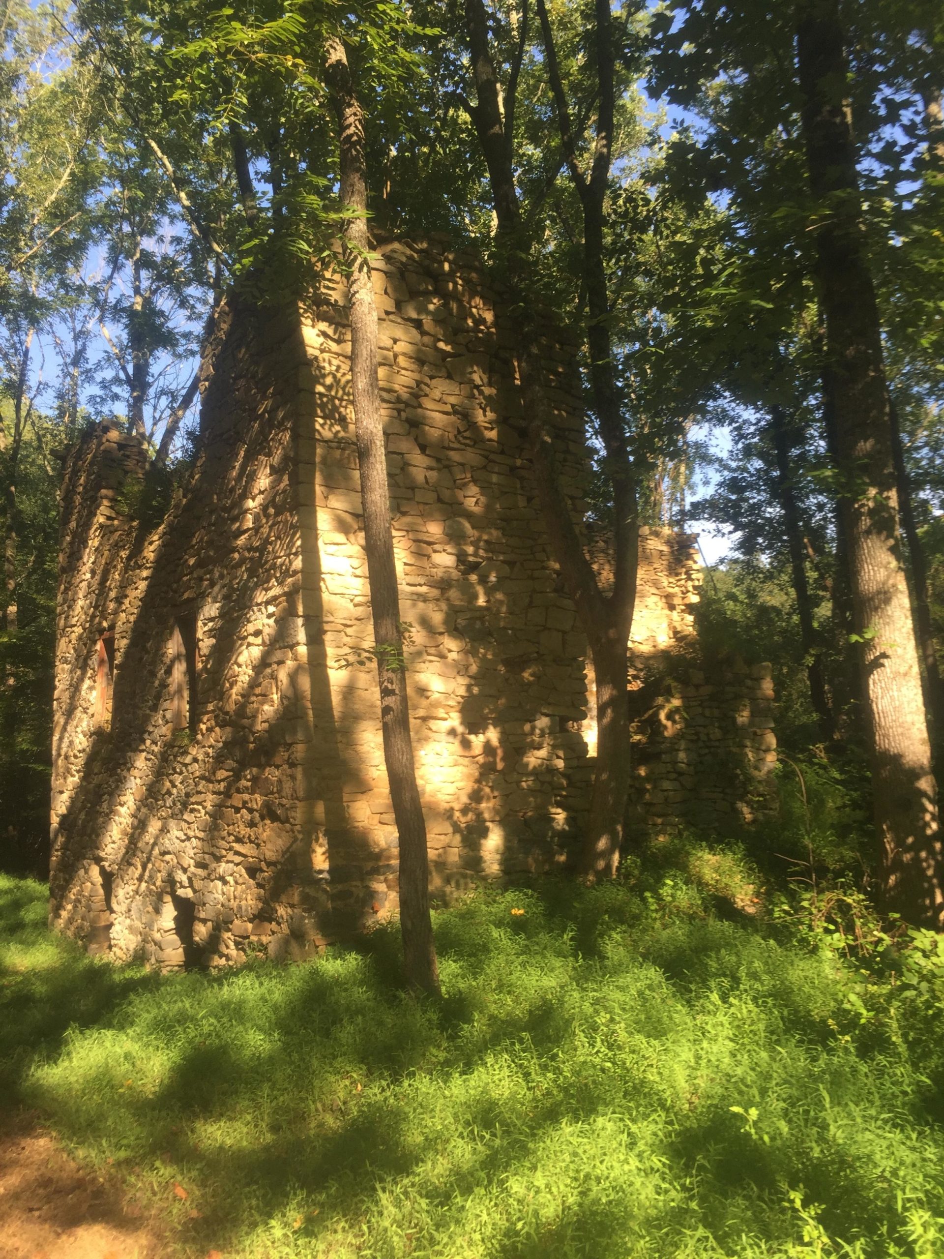 An overgrown stone wall ruins partially obscured by trees and lush green vegetation, with dappled sunlight filtering through the leaves. Fair Hill mountain bike trail.