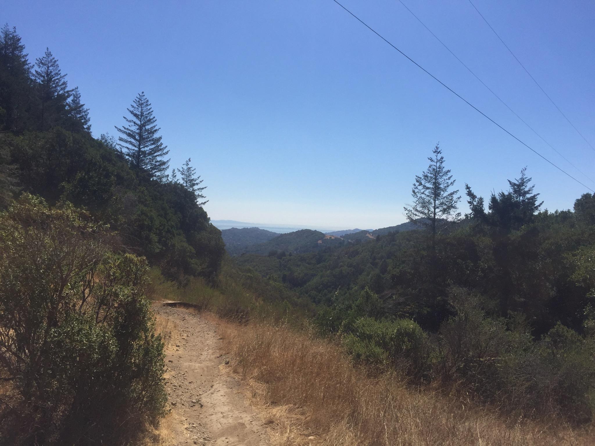 A scenic view of a hiking trail winding through a lush green landscape, with tall trees and shrubs on either side. The path leads downwards, revealing distant rolling hills under a clear blue sky. Power lines stretch across the top of the image, adding a subtle contrast to the natural scenery. Camp Tamarancho mountain bike trail.
