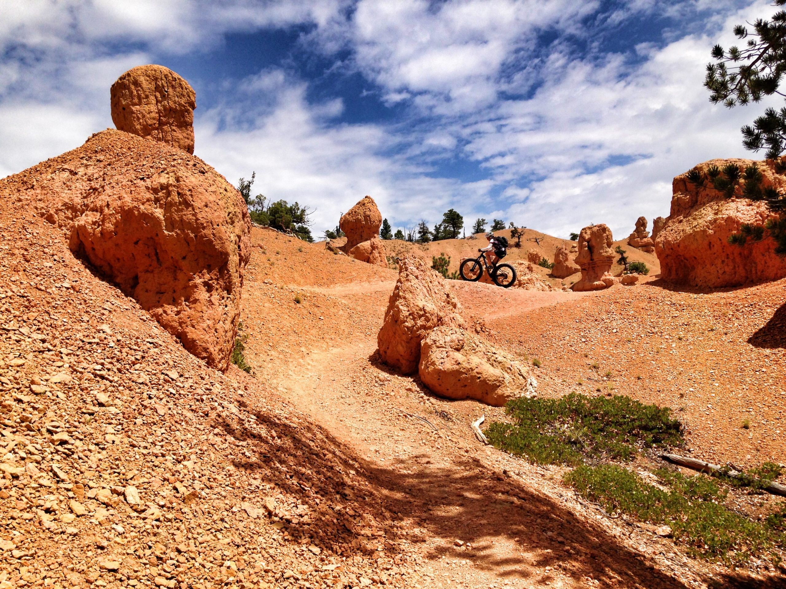 A scenic view of a rugged landscape featuring reddish rock formations and a winding dirt path, with a cyclist riding in the background against a partly cloudy sky. Thunder Mountain mountain bike trail.