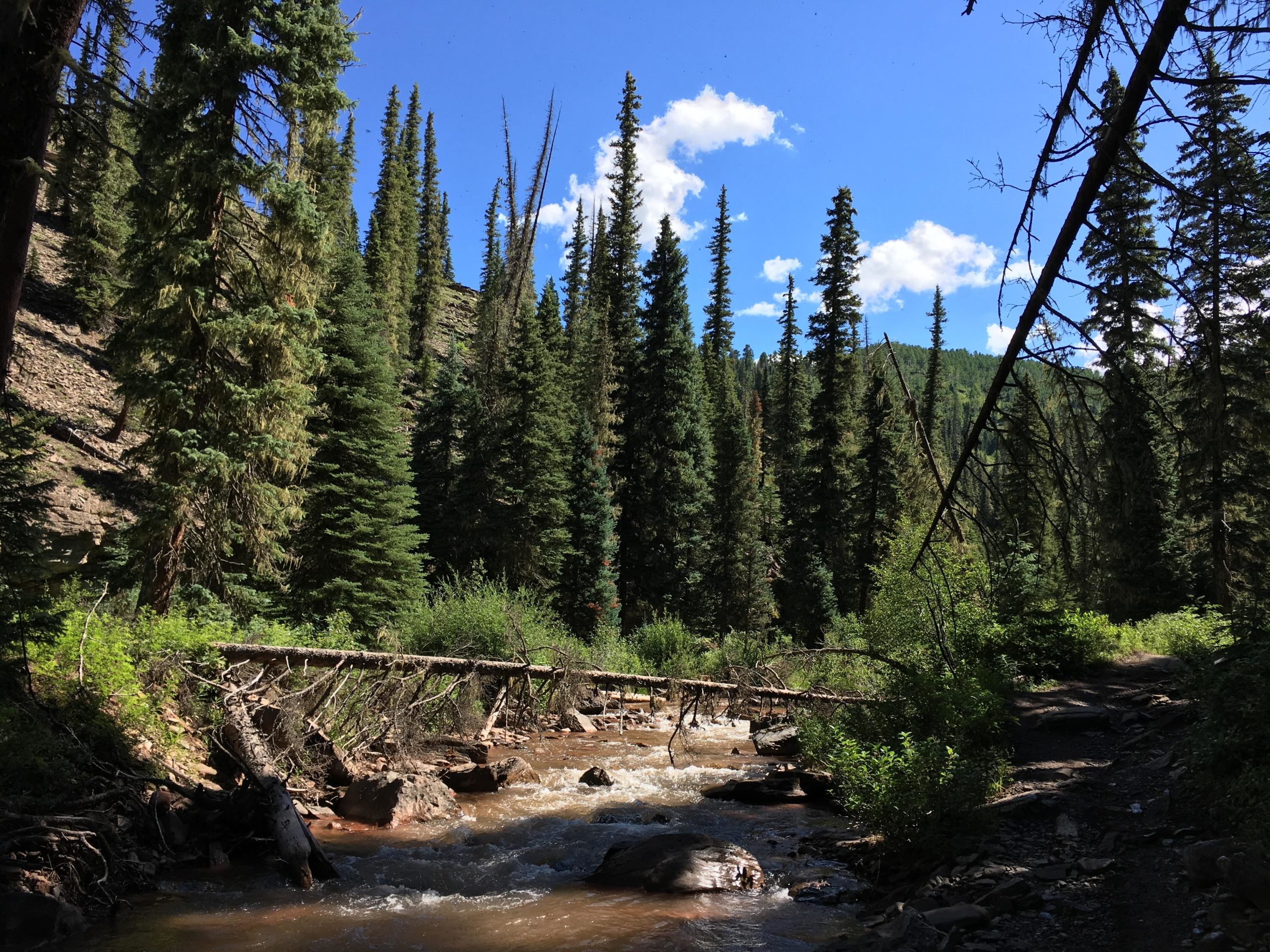  Hermosa Creek Trail mountain bike trail.