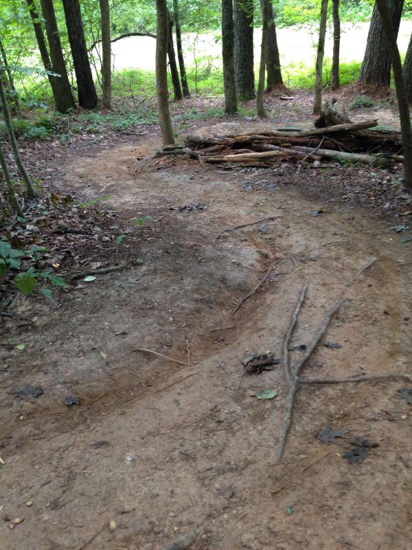  Allatoona Creek Park mountain bike trail.