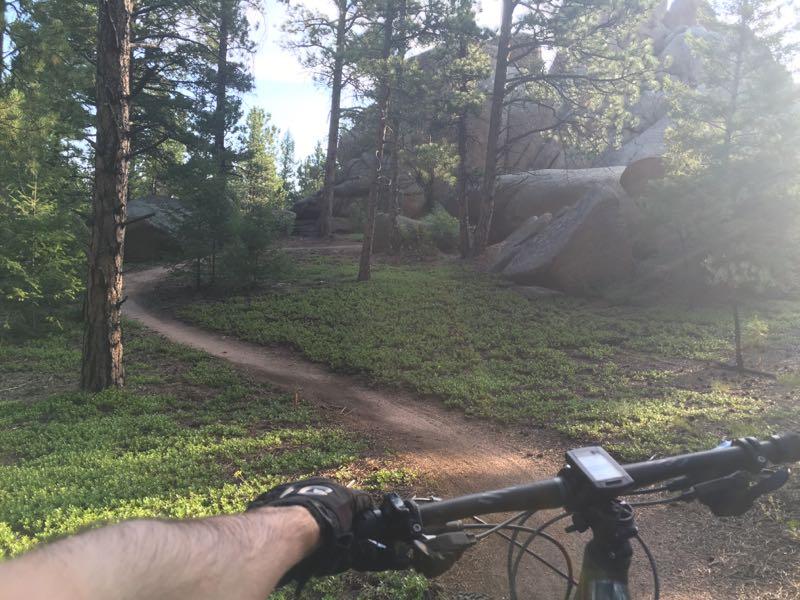 A mountain biker's perspective on a forested trail with lush greenery, trees, and large rocks in the background, showing a hand gripping the handlebars of the bike. The sun is shining, creating a serene outdoor atmosphere. Little Scraggy mountain bike trail.