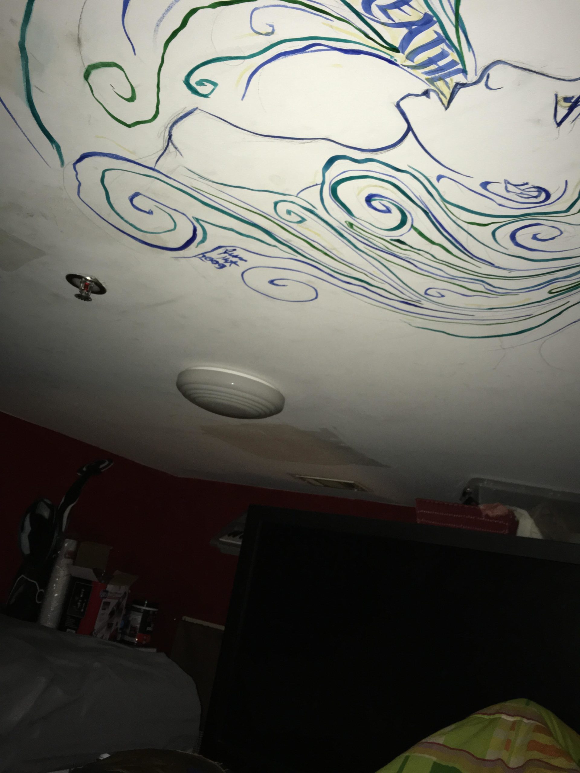 An artistic ceiling mural featuring flowing hair and abstract swirls, with soft colors like green and blue. The image is taken from a low angle, capturing the mural on a white ceiling in a cozy indoor setting. There is a glimpse of furniture and items below, including a dark television screen and various boxes. Mt Tabor Park mountain bike trail.