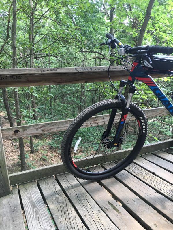 A mountain bike is positioned on a wooden bridge overlooking a lush green forest. The bike is angled to show the front wheel and handlebars, while the wooden planks of the bridge and a railing are visible. Tree branches and foliage create a natural backdrop, highlighting the outdoor setting. Al Sabo mountain bike trail.