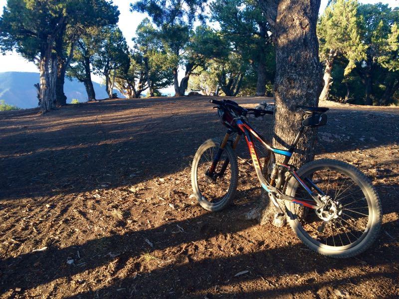 A mountain bike leaned against a tree on a forested trail, surrounded by sunlight filtering through the trees. The ground is covered with dirt and scattered leaves, with distant mountains visible in the background. The Boneyard mountain bike trail.