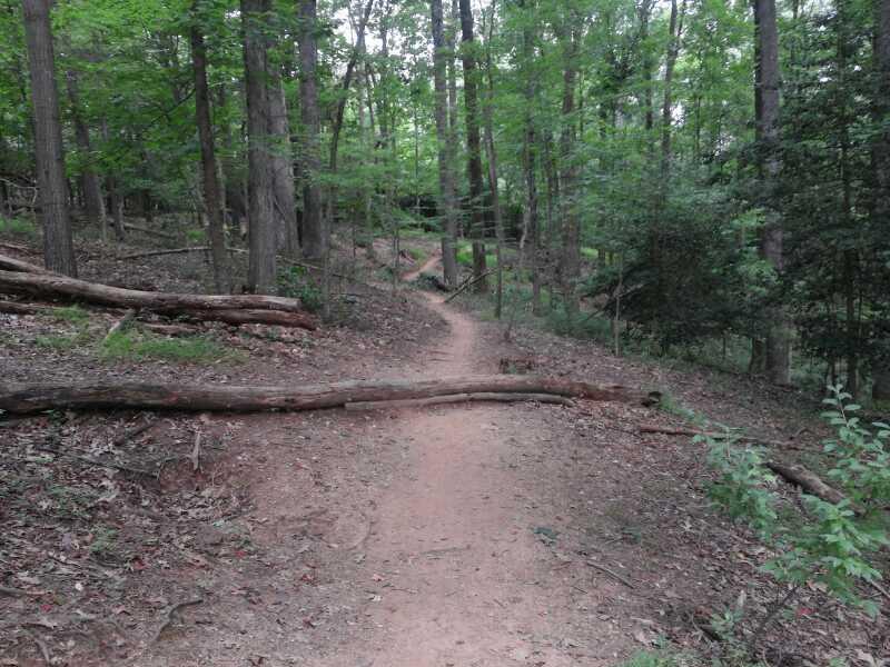 A winding dirt pathway through a lush green forest, surrounded by tall trees and fallen logs. The scene is tranquil, with dappled sunlight filtering through the leaves, creating a peaceful atmosphere in nature. Lake Fairfax mountain bike trail.