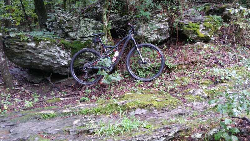 A mountain bike resting against a large rock in a wooded area, surrounded by greenery and moss, with patches of grass and fallen leaves on the ground. Cedar Glades Trail mountain bike trail.