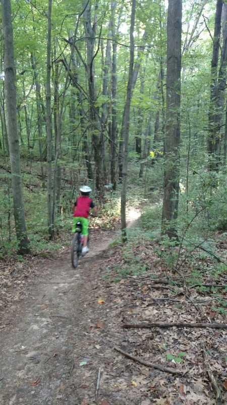 A child in a bright red shirt and green shorts rides a bicycle along a dirt trail in a lush, green forest. Tall trees surround the path, and sunlight filters through the leaves, creating dappled shadows on the ground. A faint trail leads deeper into the woods. Cannonsburg State Game Area mountain bike trail.