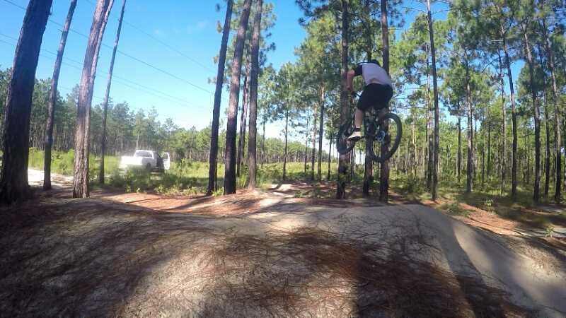 A mountain biker performing a jump on a dirt trail surrounded by tall pine trees, with a clear blue sky in the background. Smith Lake mountain bike trail.