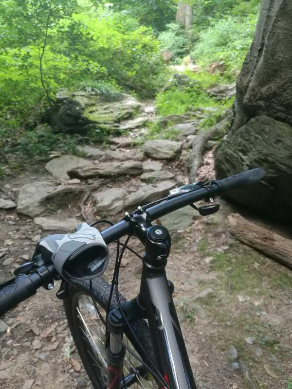 A close-up view of a mountain bike's handlebars, positioned on a rocky trail surrounded by lush green foliage. The path appears rugged with visible stones and roots, suggesting a natural outdoor setting. Wissahickon Valley Park mountain bike trail.