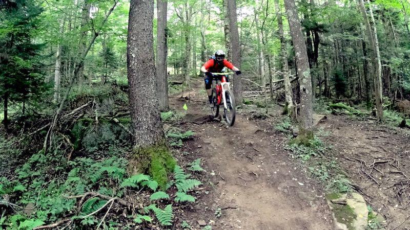 A mountain biker riding on a dirt trail through a wooded area, surrounded by trees and greenery, with visible rocks and ferns along the path. The cyclist wears a helmet and a red jersey, navigating a sloped section of the trail marked by a small cone. Snowshoe Bike Park mountain bike trail.