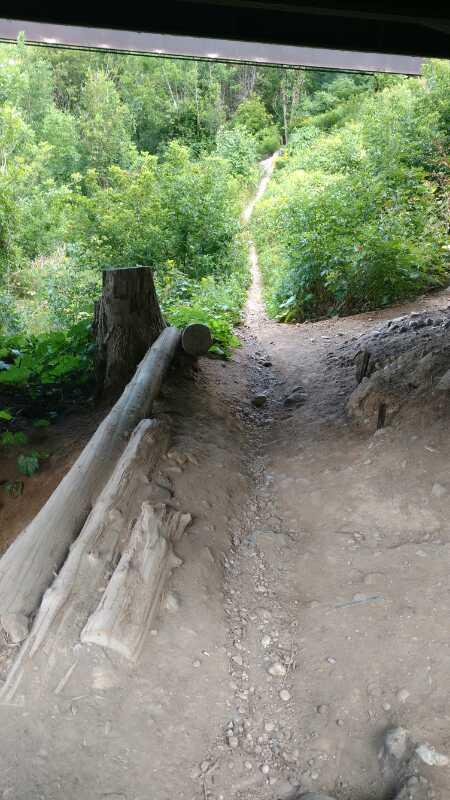 A dirt pathway leads through lush green vegetation, with a log and rocky terrain at the foreground. The trail narrows and winds into the distance, suggesting a scenic outdoor setting. Hardy Rd. Trail mountain bike trail.