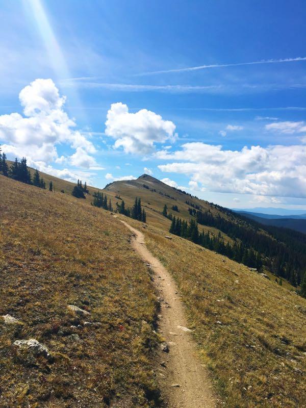 A winding dirt path leads through a grassy mountain landscape under a bright blue sky filled with fluffy white clouds. The terrain slopes gently upwards, with trees lining the path on either side and a rocky peak in the distance. Monarch Crest Trail mountain bike trail.