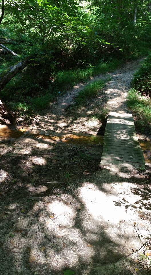 A dirt path leading through a wooded area, featuring a small wooden bridge over a shallow stream. Sunlight filters through the leafy trees, casting dappled shadows on the ground. Lush green vegetation surrounds the path, creating a tranquil nature scene. Rosaryville State Park mountain bike trail.