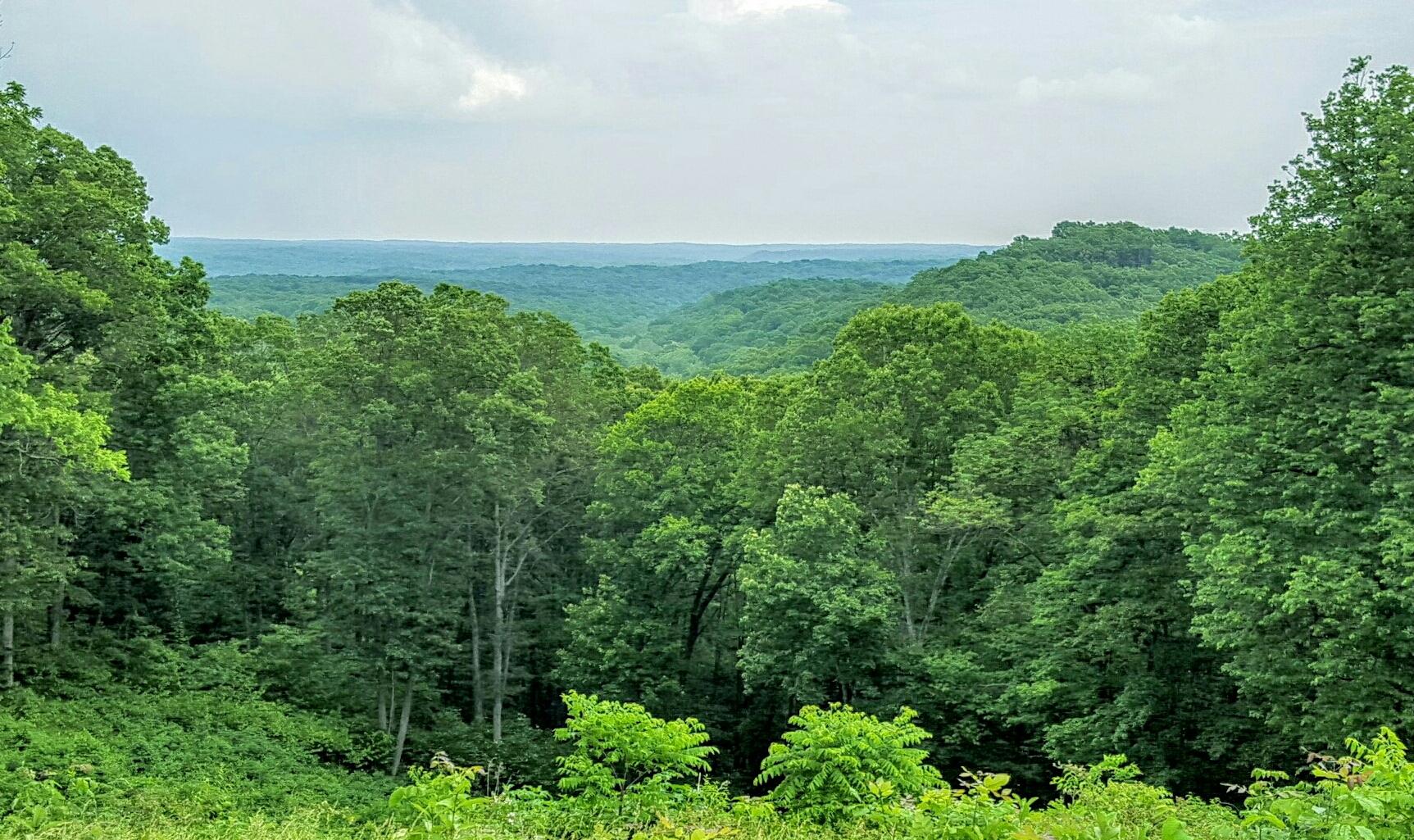 A panoramic view of a lush green forest, with rolling hills and a cloudy sky in the background. The foreground is filled with dense trees and foliage, creating a vibrant natural scene. Brown County Park mountain bike trail.