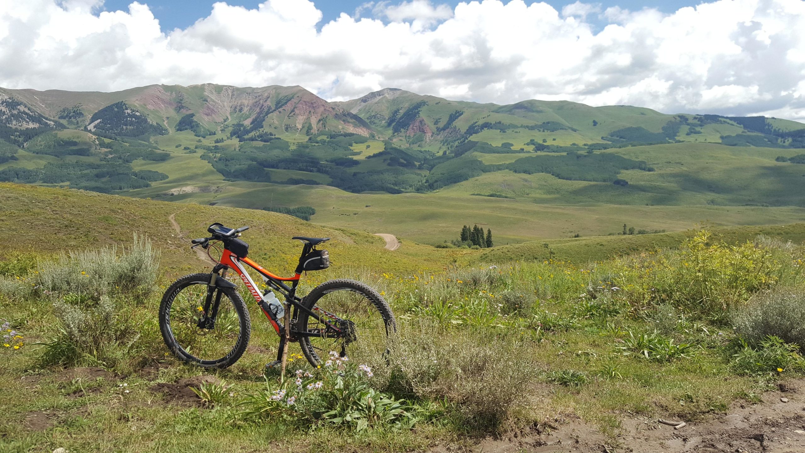A mountain bike is propped up on a grassy hillside, surrounded by wildflowers. In the background, rolling green hills and trees are visible, framed by a range of mountains under a partly cloudy sky. Snodgrass mountain bike trail.