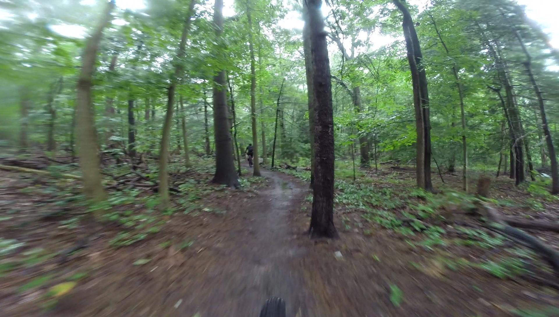 A blurred perspective of a forest trail, surrounded by tall green trees and dense foliage, suggesting a sense of motion and adventure, likely from a mountain biking viewpoint. Huber Woods mountain bike trail.