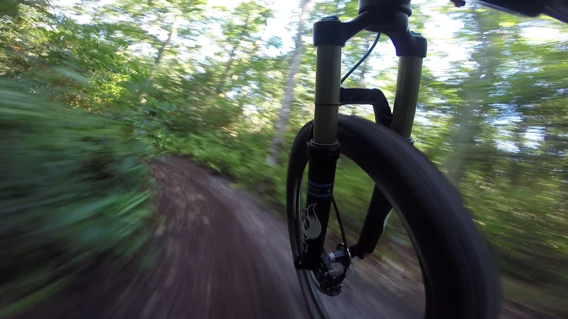 A close-up view of a mountain bike's front wheel in motion on a dirt trail, surrounded by lush green foliage and trees, suggesting an exhilarating outdoor adventure. Allaire State Park mountain bike trail.
