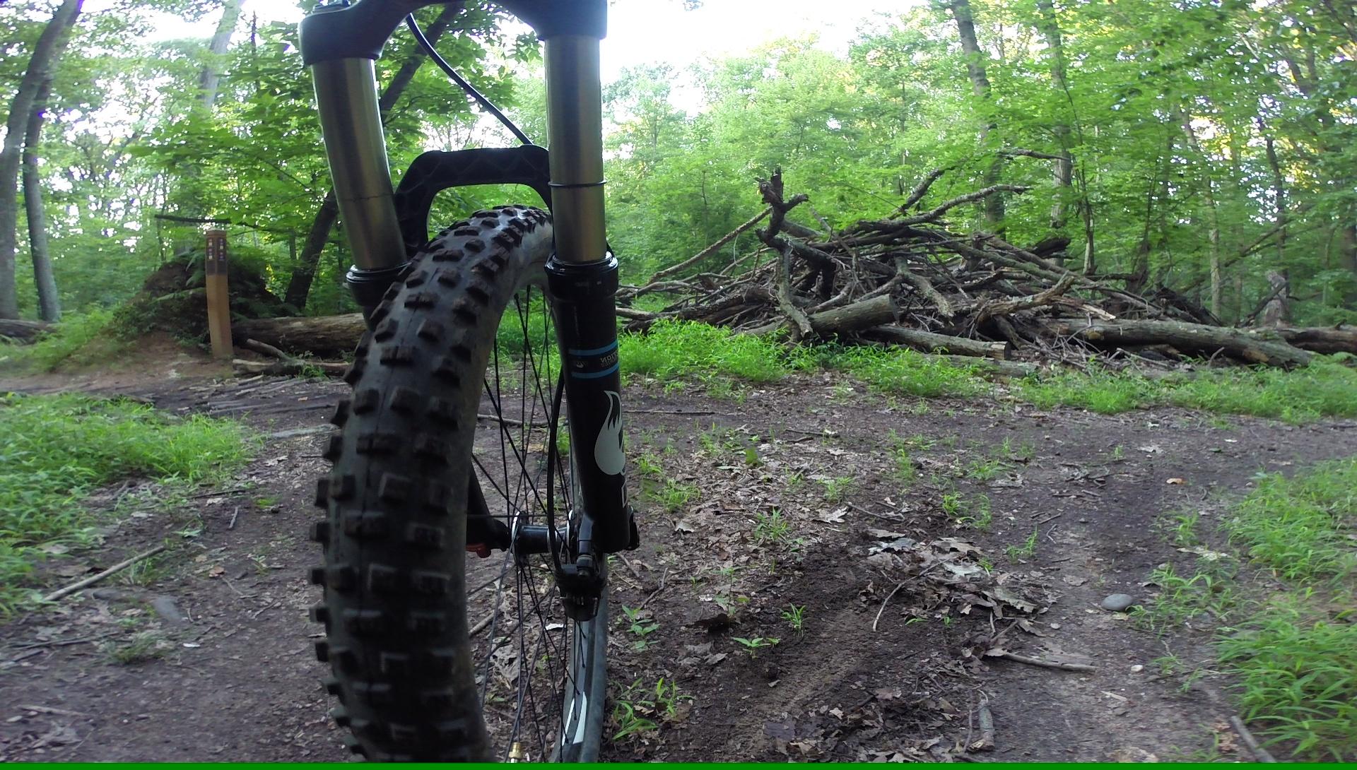 A close-up view of a mountain bike wheel and front fork on a dirt trail in a lush green forest, with a pile of fallen branches in the background and a trail marker visible to the left. The scene is vibrant and showcases the natural surroundings. Richmond Avenue and Forest Hill road mountain bike trail.