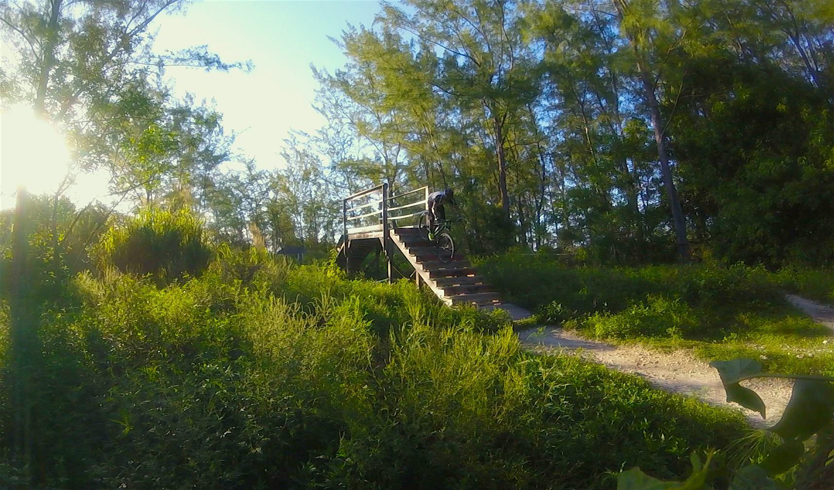 A mountain biker navigating a set of wooden stairs in a lush, green environment, surrounded by tall trees and illuminated by the sun. Virginia Key North Point mountain bike trail.