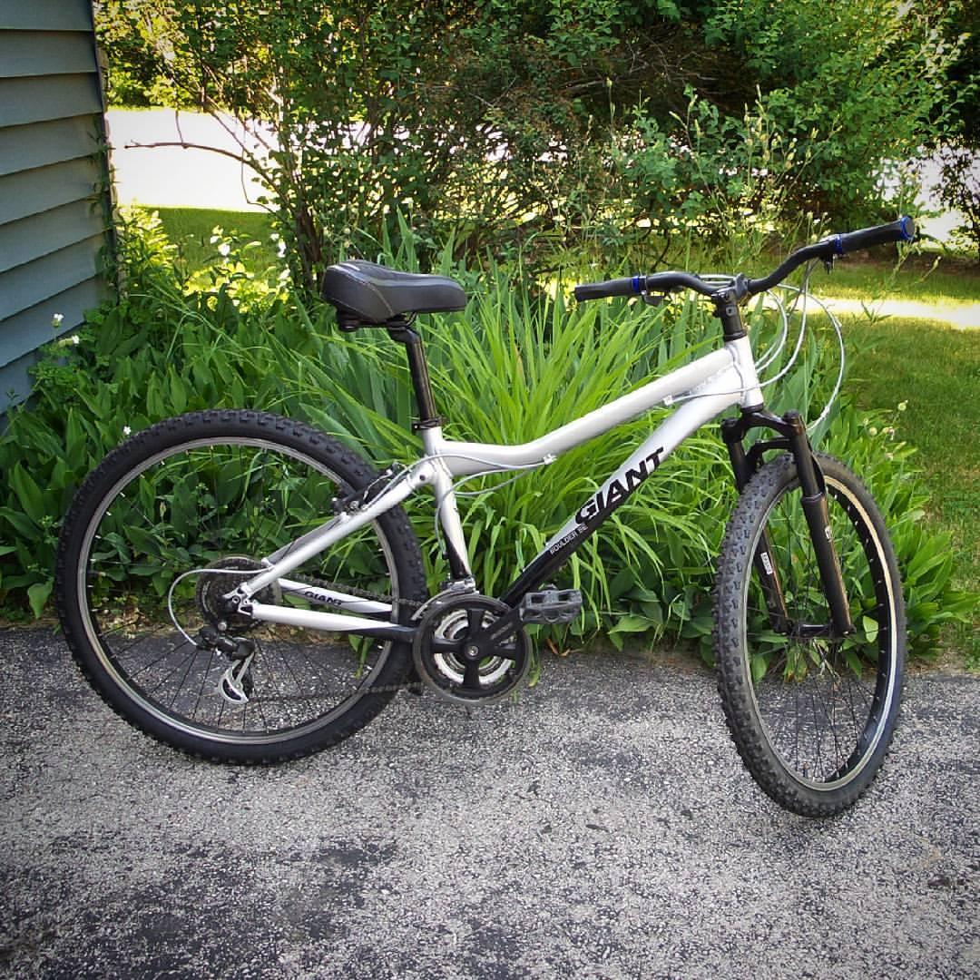Giant Boulder SE: A silver mountain bike with black accents parked on a paved surface, surrounded by green plants and grass. The bike features wide tires, a standard seat, and a handlebar with colored grips. A house wall is partially visible in the background.