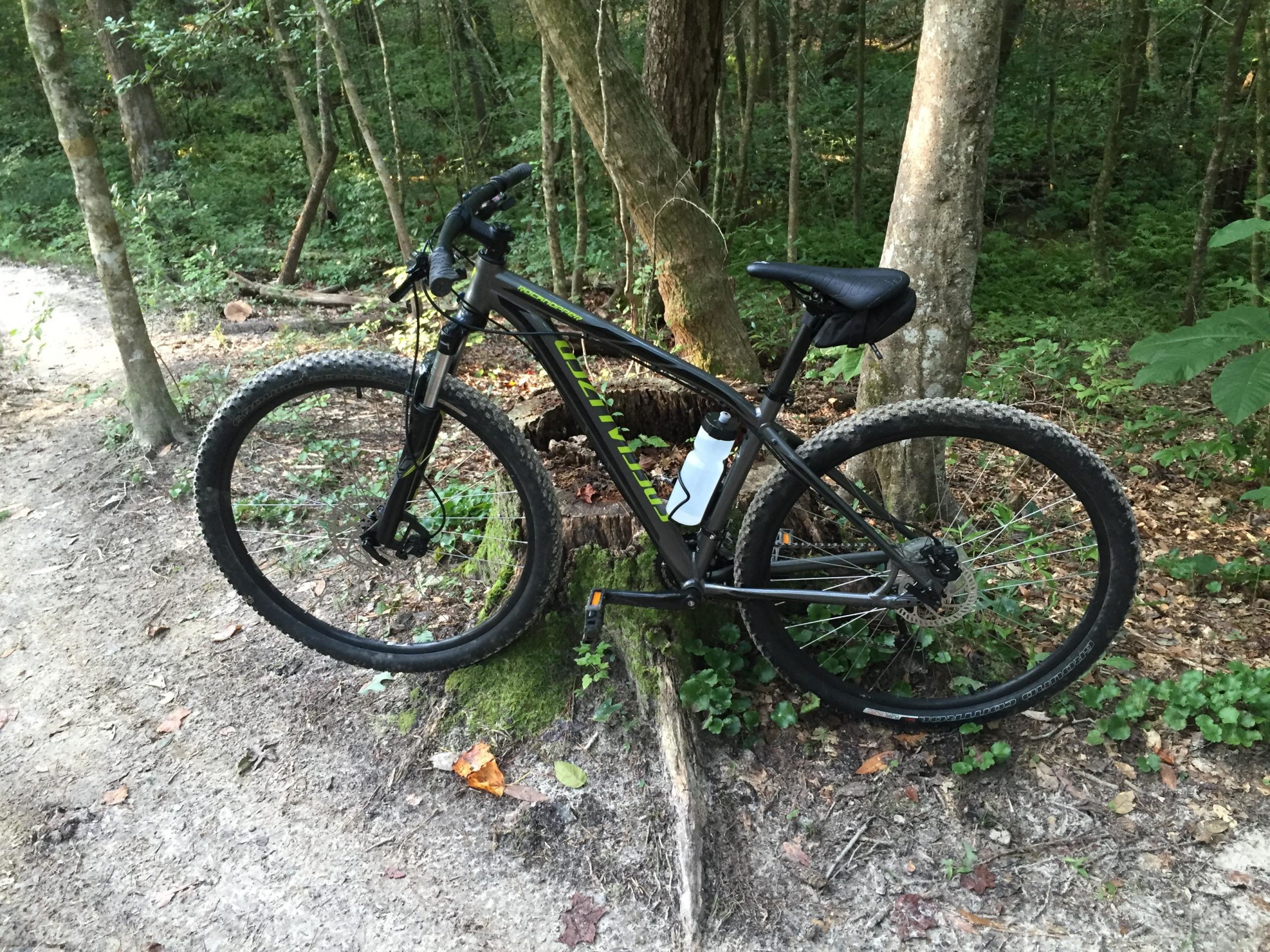A mountain bike leaning against a tree in a wooded area, with a dirt path visible in the background. The bike has a black frame and knobby tires, and a water bottle is mounted on the frame. Lush greenery and fallen leaves surround the area, indicating a natural outdoor setting. Flanners Beach Loop mountain bike trail.