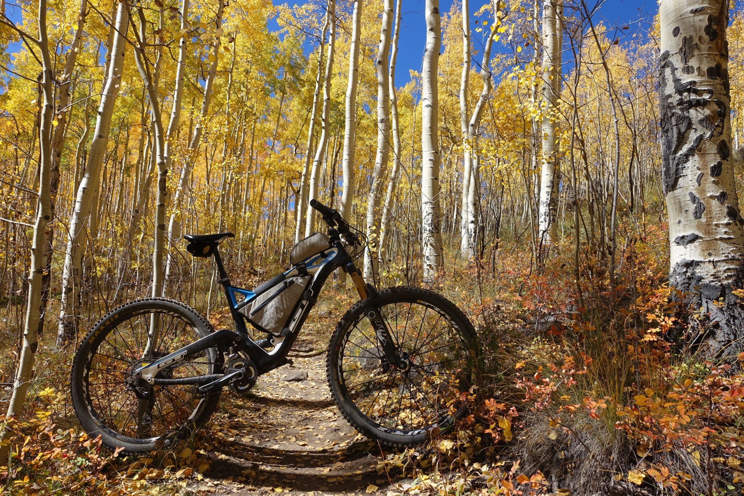 A mountain bike leaning against a tree on a narrow trail surrounded by tall aspen trees with vibrant yellow leaves. The ground is covered in autumn foliage, creating a colorful and picturesque scene under a clear blue sky. Colorado Trail: Twin Lakes / Hwy 82 to Half Moon Rd / Mount Massive Wilderness mountain bike trail.