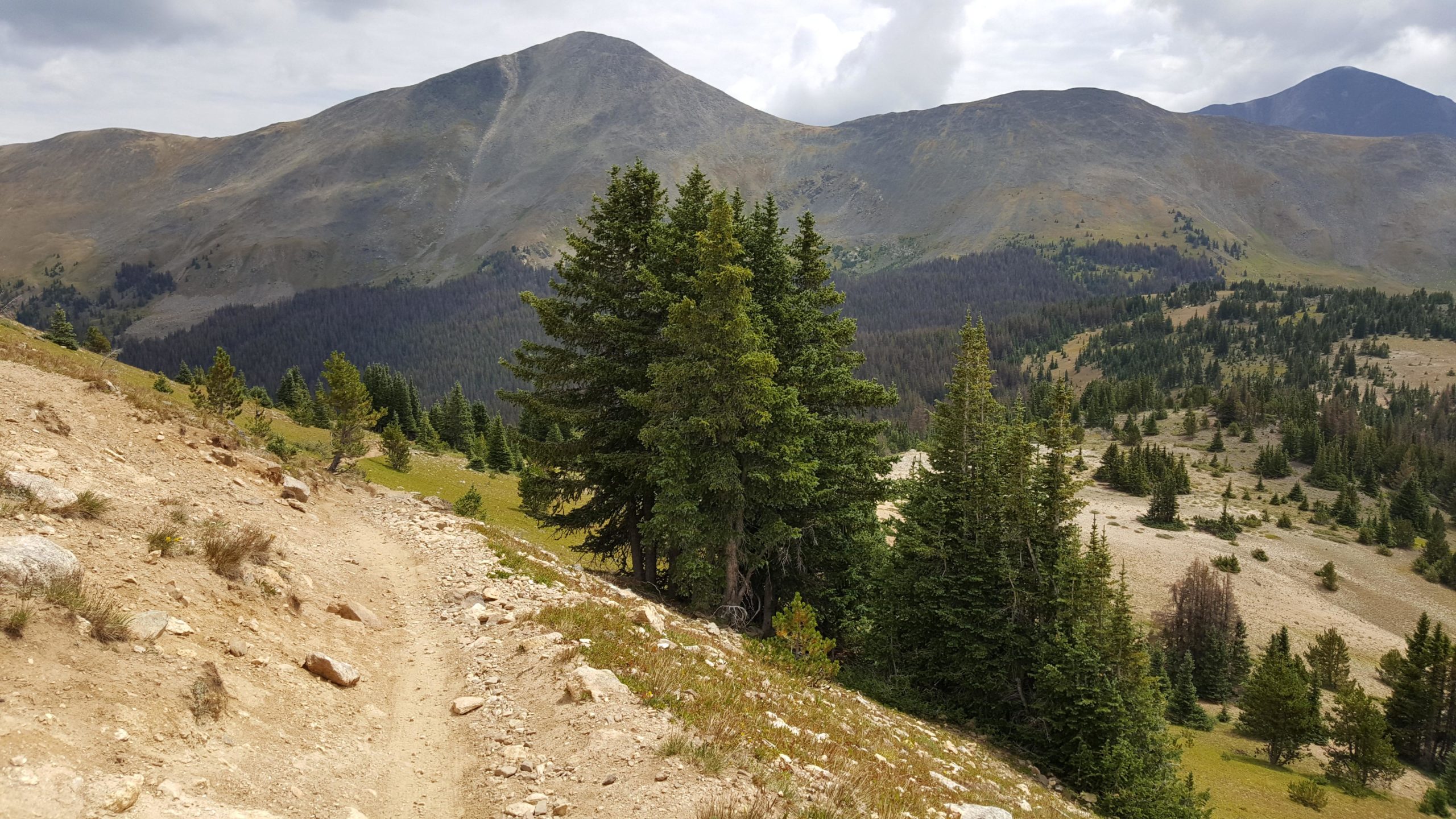 A rugged mountain landscape featuring a winding dirt path, lush greenery, and scattered pine trees. The scene is set against a backdrop of rolling hills and distant mountain peaks under a partly cloudy sky. Monarch Crest Trail mountain bike trail.