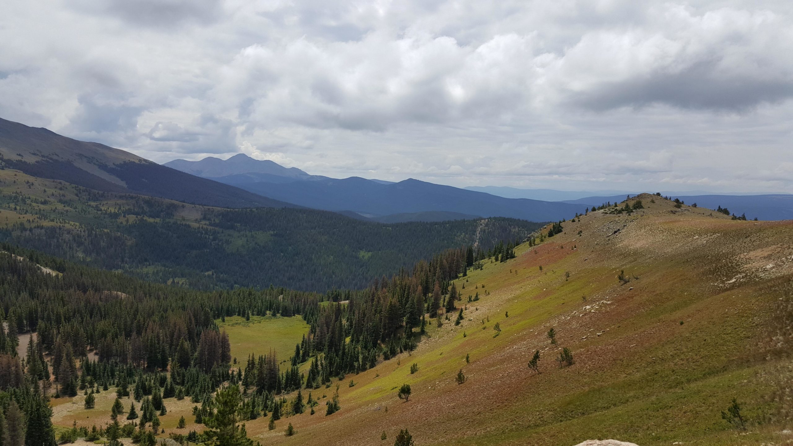 A panoramic view of lush green mountains under a partly cloudy sky, showcasing rolling hills dotted with trees and a backdrop of distant peaks. The scene captures the beauty of a serene natural landscape. Monarch Crest Trail mountain bike trail.