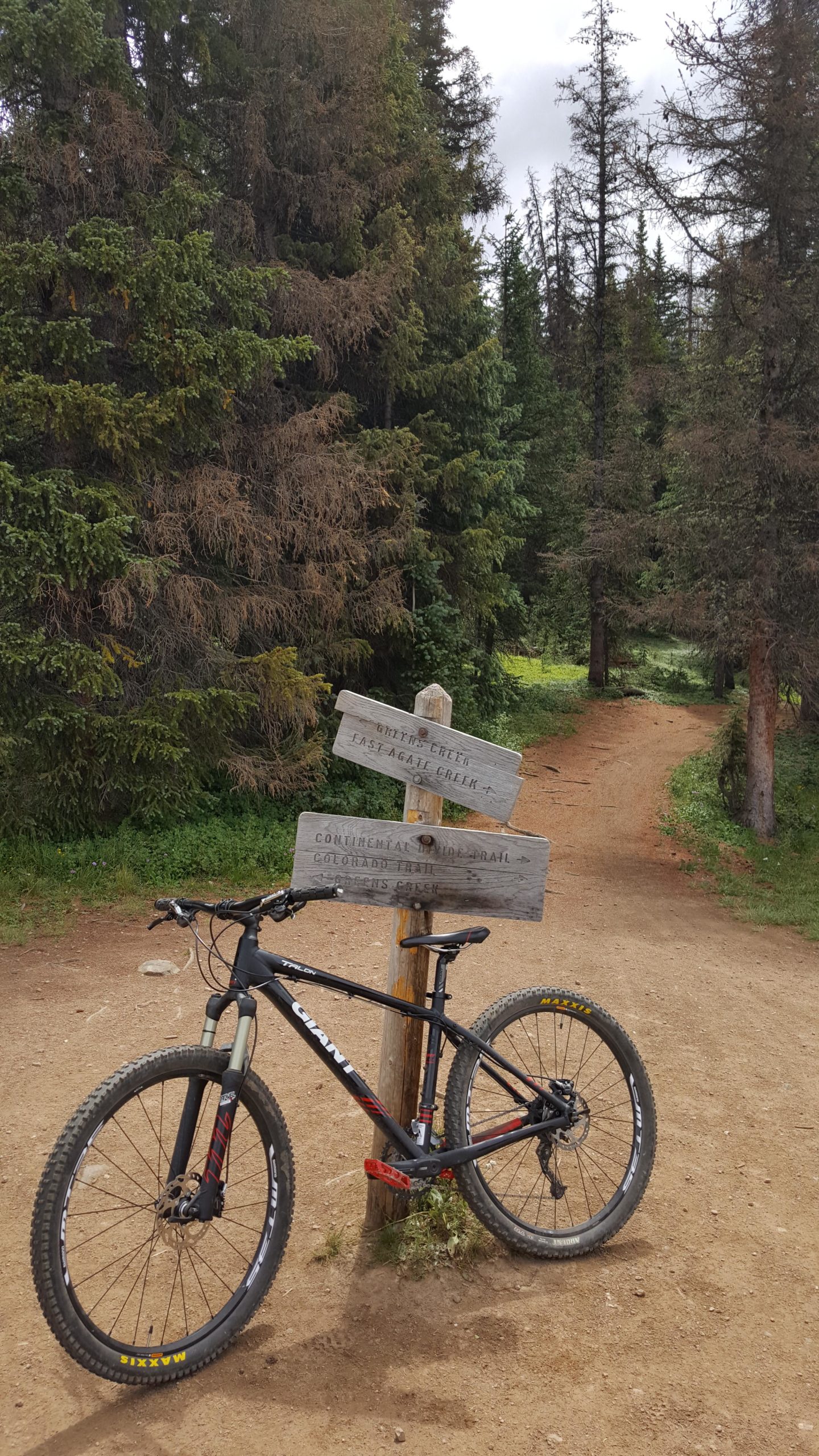 A mountain bike resting against a wooden trail sign in a forested area. The sign points to various trails, indicating routes such as "Smith Creek" and "Continental Divide Trail." The surroundings feature tall coniferous trees and a dirt path. Monarch Crest Trail mountain bike trail.