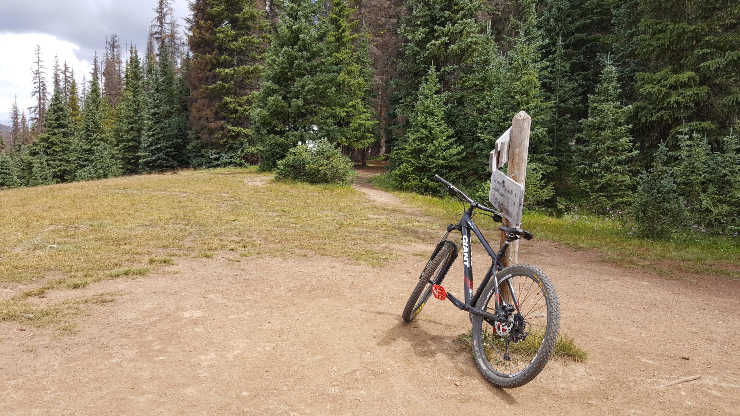 A mountain bike leaning against a wooden signpost on a dirt path surrounded by greenery and tall pine trees, with a grassy area visible in the foreground under a partly cloudy sky. Monarch Crest Trail mountain bike trail.