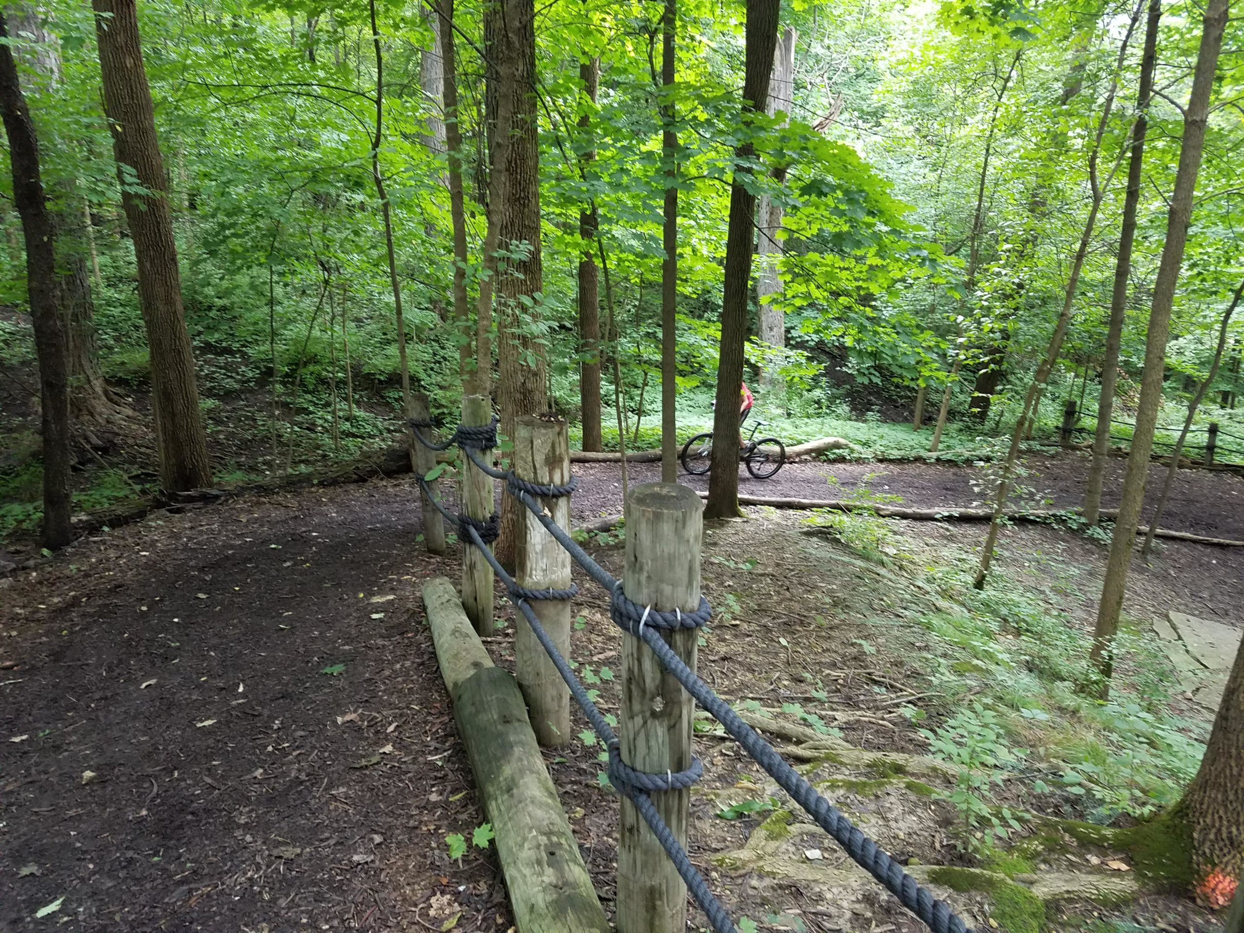 A winding dirt path in a lush green forest, bordered by wooden posts and rope fencing. A person on a mountain bike rides along the trail, surrounded by tall trees and vibrant foliage, creating a serene outdoor scene. Dupage River Single Track Trail mountain bike trail.