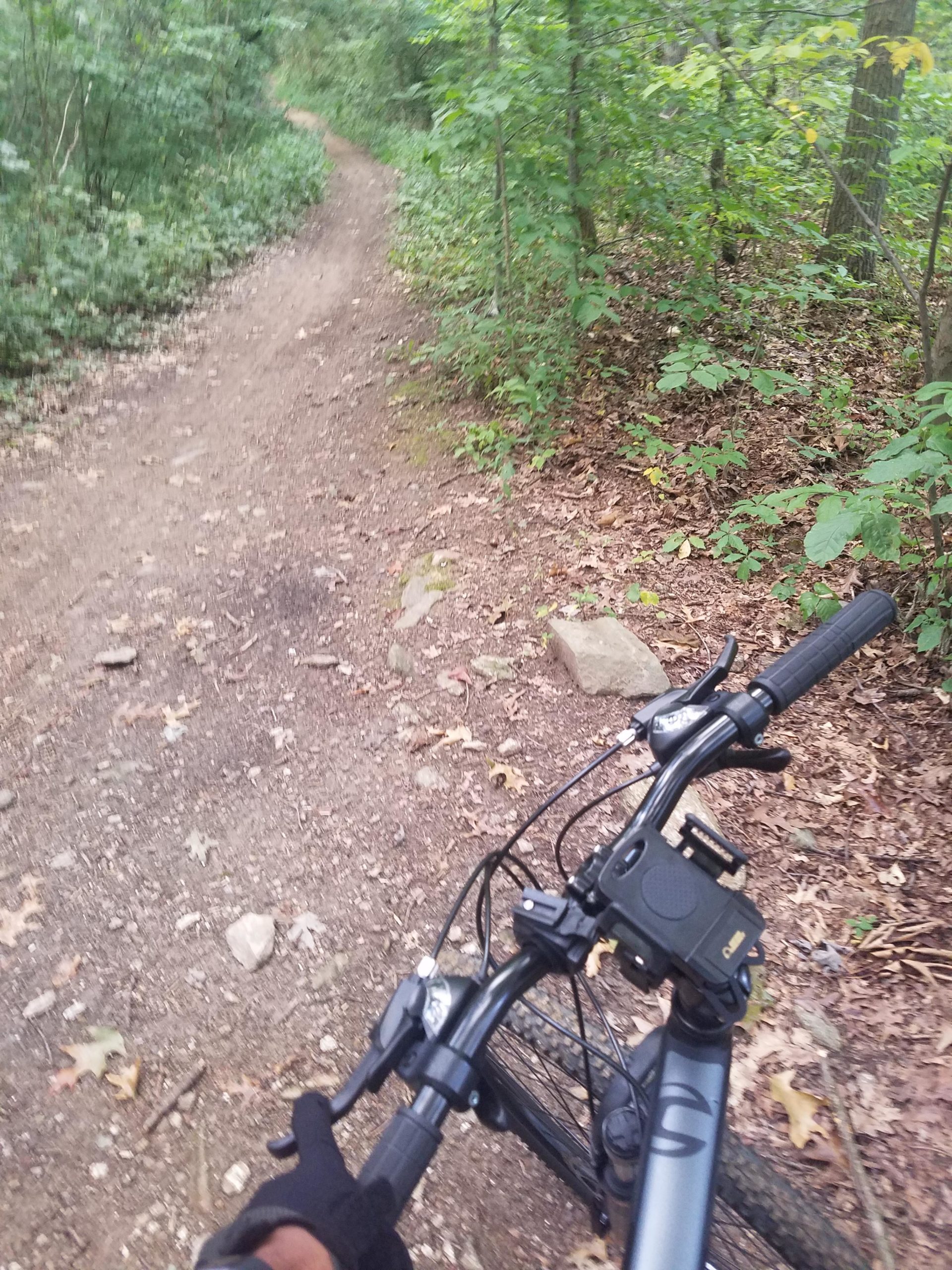 A close-up view of a mountain bike's handlebars, held by a gloved hand, with a wooded trail winding through a lush green forest in the background. The path is dirt and gravel, surrounded by trees and foliage, suggesting an outdoor biking adventure. Wissahickon Valley Park mountain bike trail.