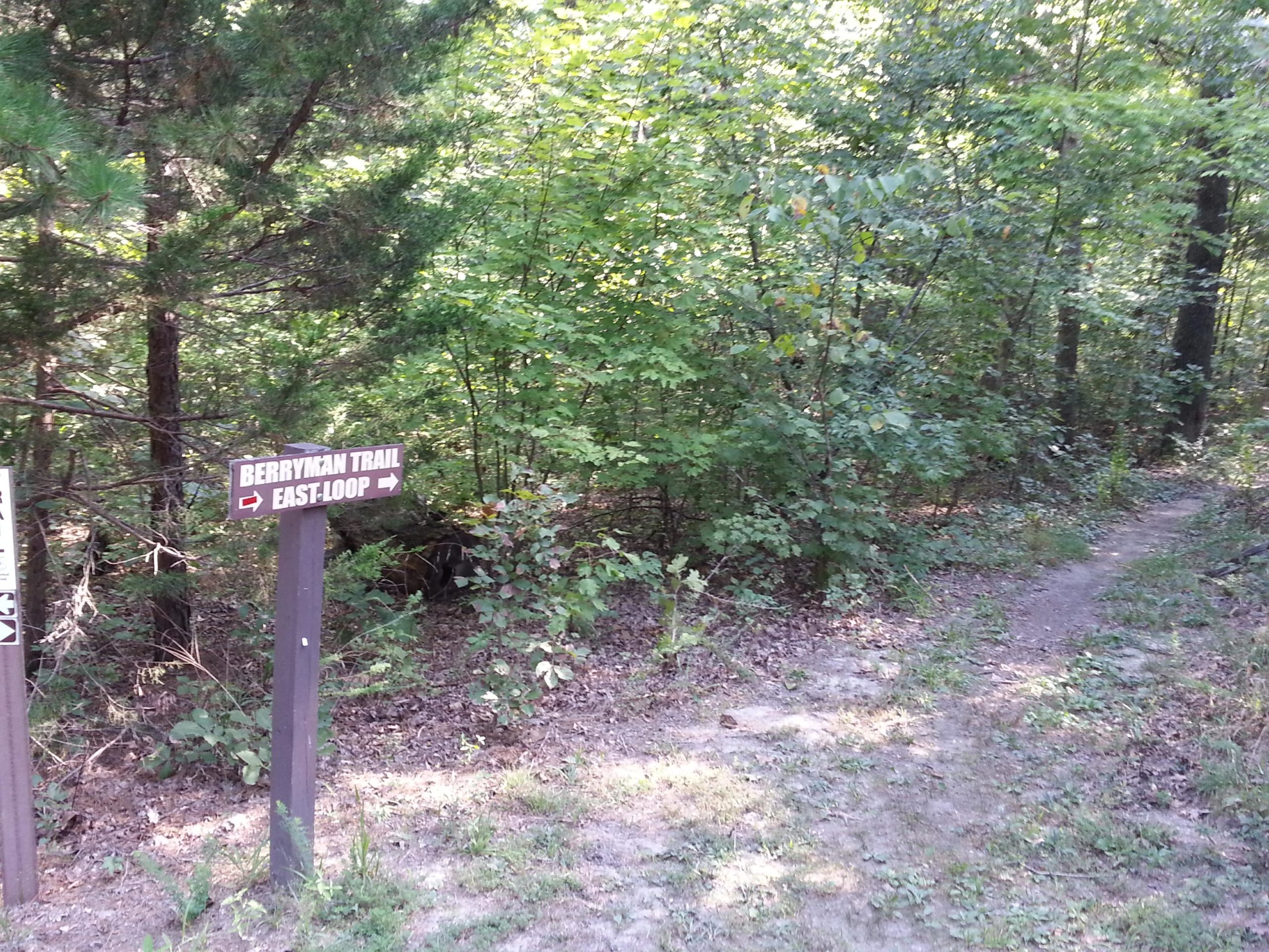 Signpost directing hikers to the Berryman Trail, indicating the East Loop, with a wooded path visible in the background. Green foliage surrounds the area, offering a natural setting. Berryman mountain bike trail.