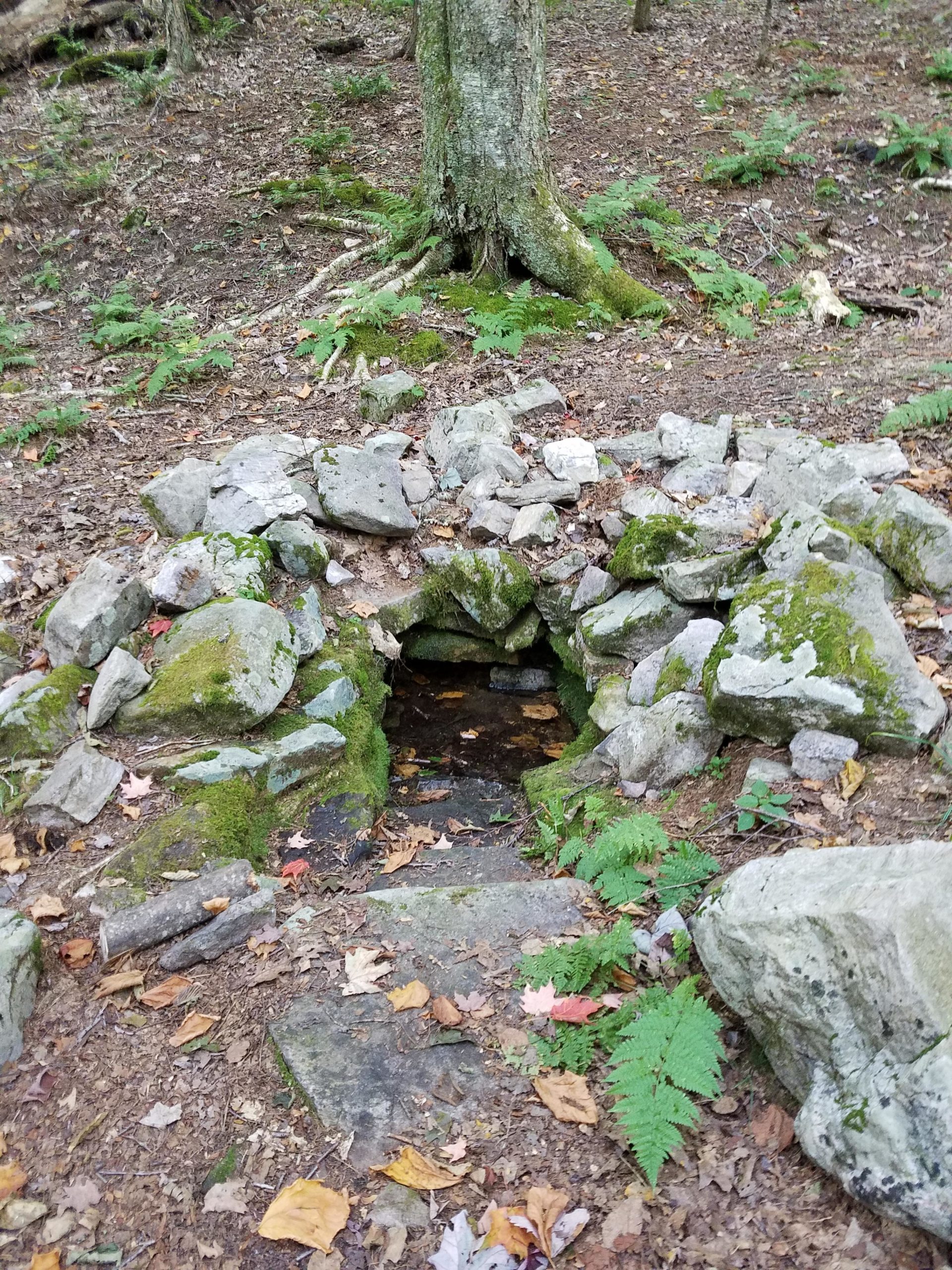 A natural spring surrounded by a circle of stones, situated on a forest floor covered with fallen leaves. Ferns and moss grow nearby, with a large tree's roots visible in the background. Iron Mountain mountain bike trail.