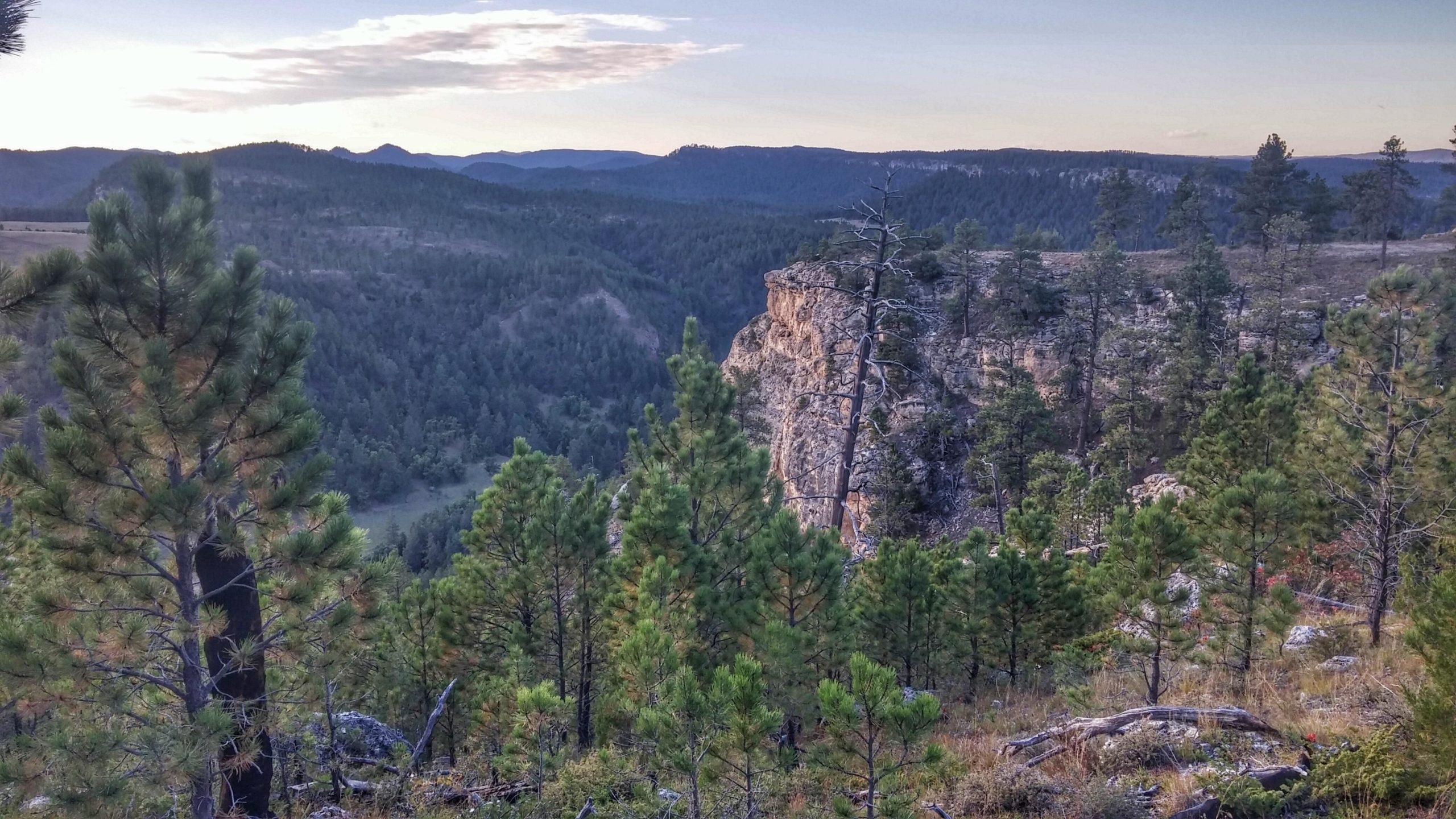A scenic view of a mountainous landscape at dusk, featuring tall pine trees in the foreground and rocky cliffs in the background. The horizon showcases rolling hills under a softly lit sky with scattered clouds. The greenery indicates a lush forest environment, while the cliffs add a rugged element to the serene setting. Victoria's Secret mountain bike trail.