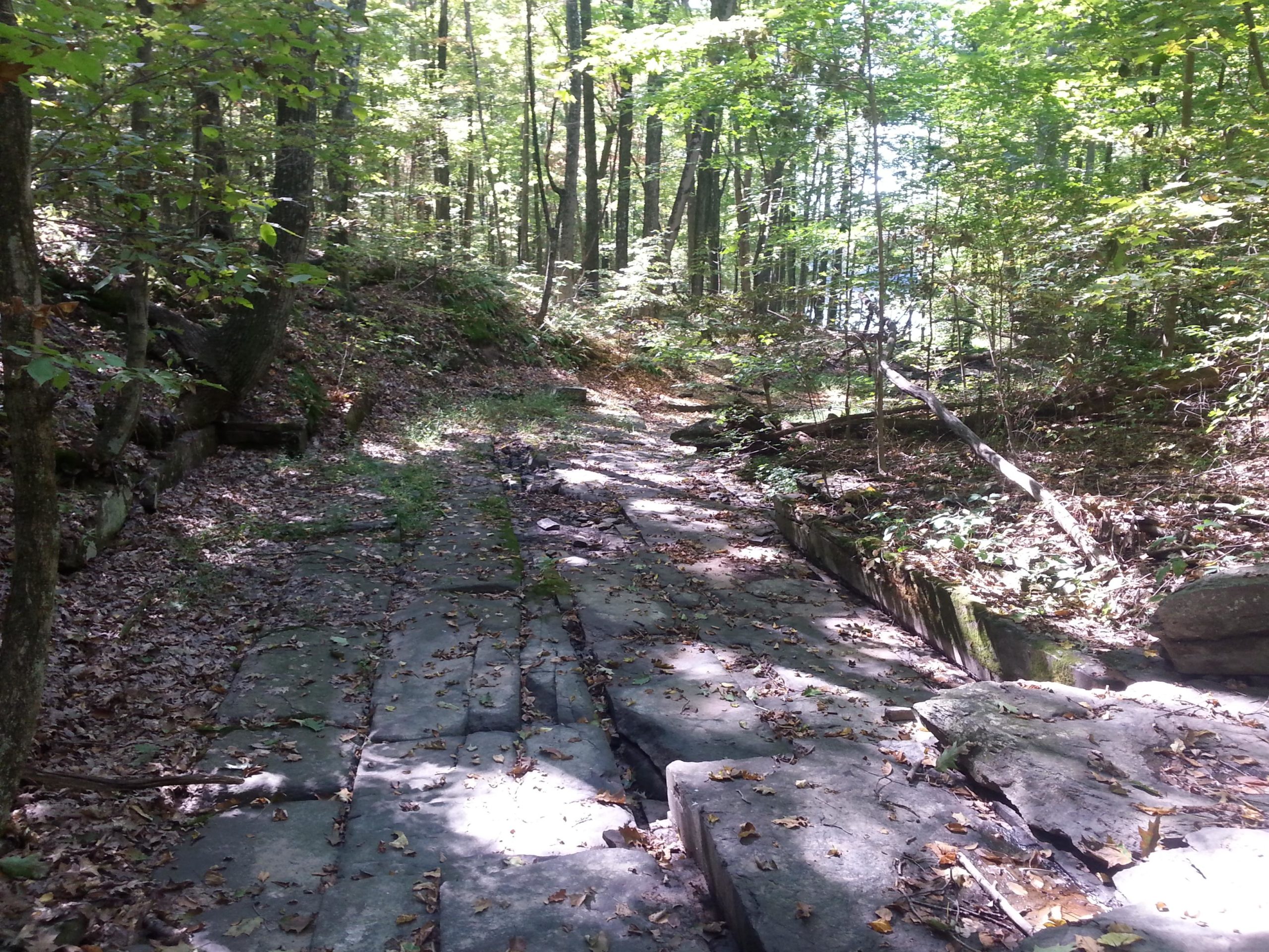 A sunlit path in a wooded area, featuring a rocky trail covered with fallen leaves and surrounded by trees. The scene captures the tranquility of nature, with greenery and dappled sunlight creating a peaceful atmosphere. Nockamixon State Park mountain bike trail.