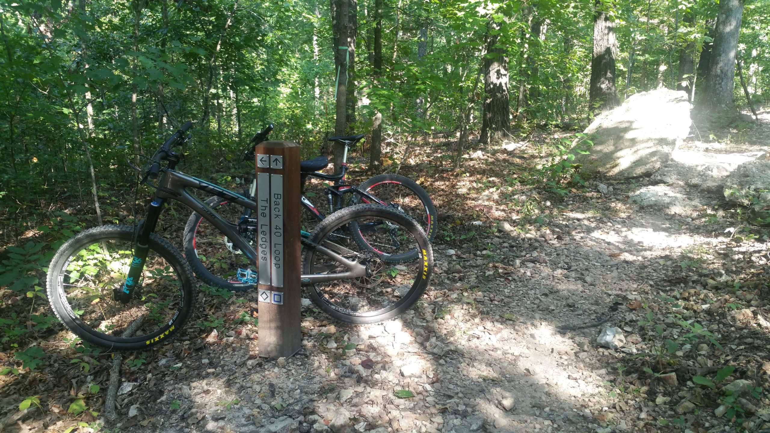 Two mountain bikes parked at a trail sign in a wooded area, indicating trails labeled "Back 40 Loop" and "The Ledges," with a dirt path leading into the greenery. Sunlight filters through the trees, illuminating the scene. Back 40 mountain bike trail.