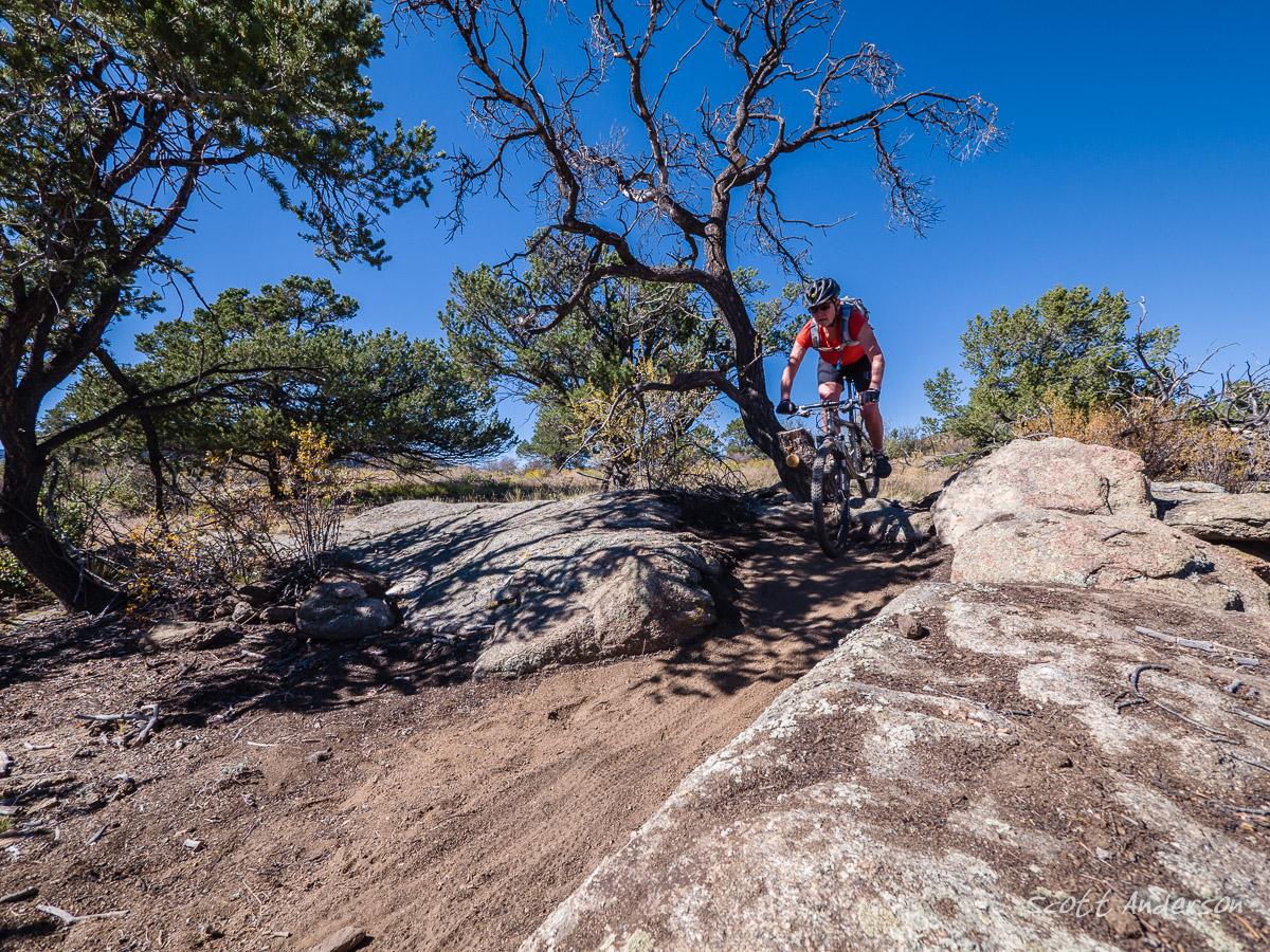 A mountain biker navigating a rocky trail surrounded by trees under a clear blue sky. Midland Hills Trails mountain bike trail.
