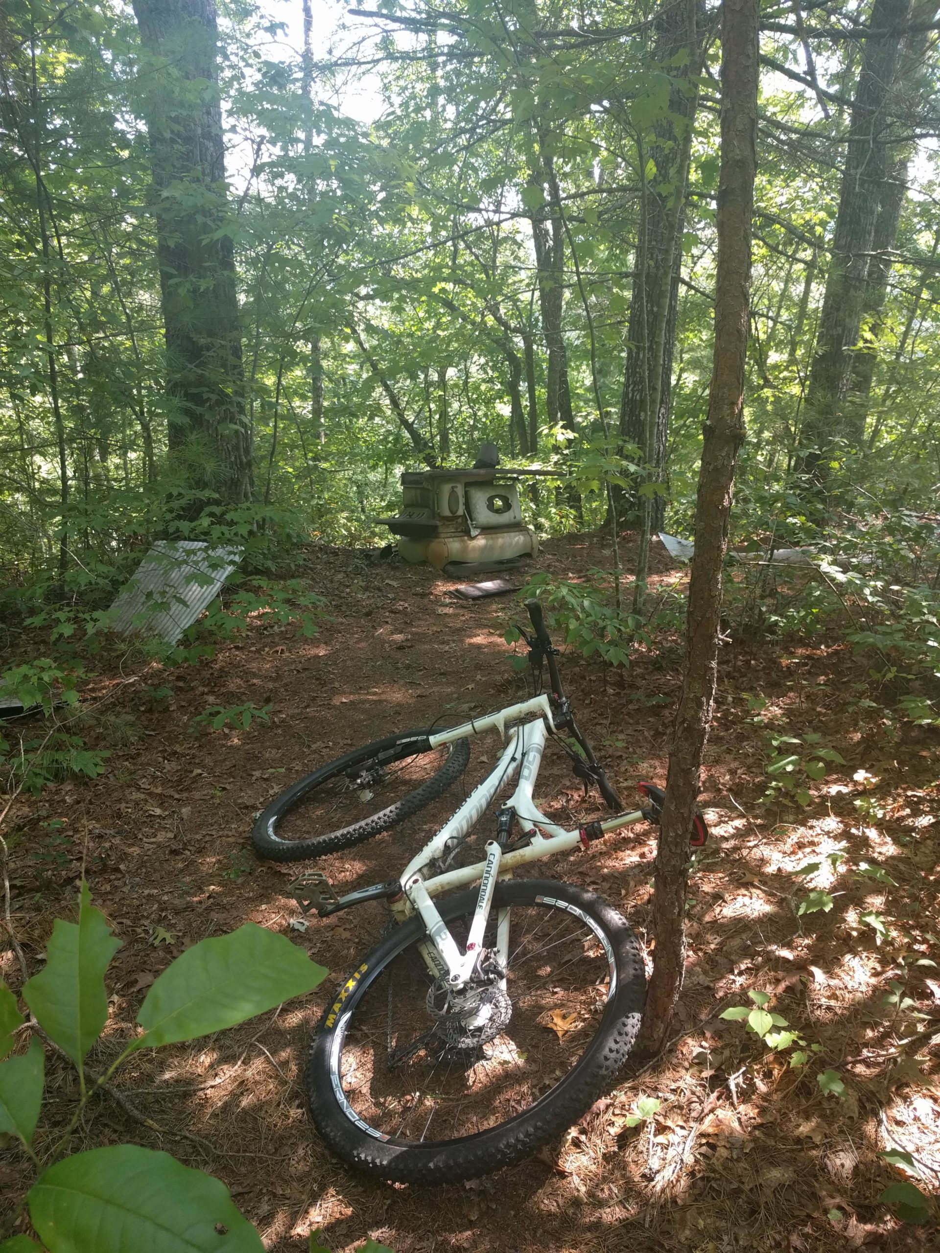 A white mountain bike lying on a forest trail covered in pine needles, with a vintage stove in the background surrounded by dense green foliage. Sunlight filters through the trees, creating a dappled light effect on the ground. Flint Ridge mountain bike trail.