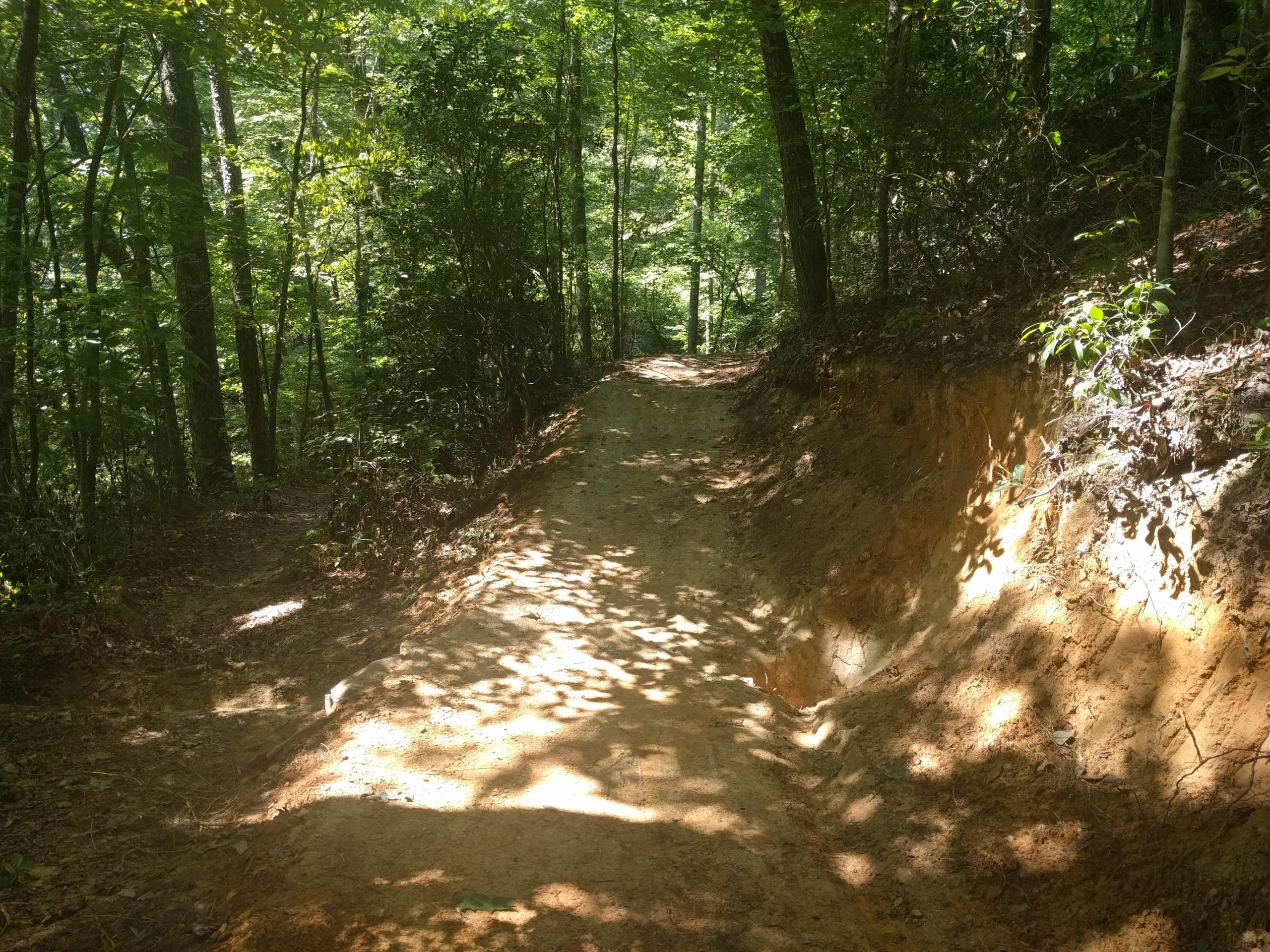 A sunlit dirt trail winding through a dense forest, lined with trees and greenery, with patches of sunlight filtering through the leaves. The path is narrow and surrounded by earthy soil and vegetation on either side. Flint Ridge mountain bike trail.