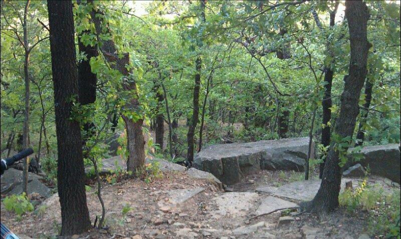 A wooded area featuring dense green trees, rocky terrain, and a dirt path that winds through the foliage. Sunlight filters through the leaves, creating a serene and natural environment. Turkey Mountain mountain bike trail.