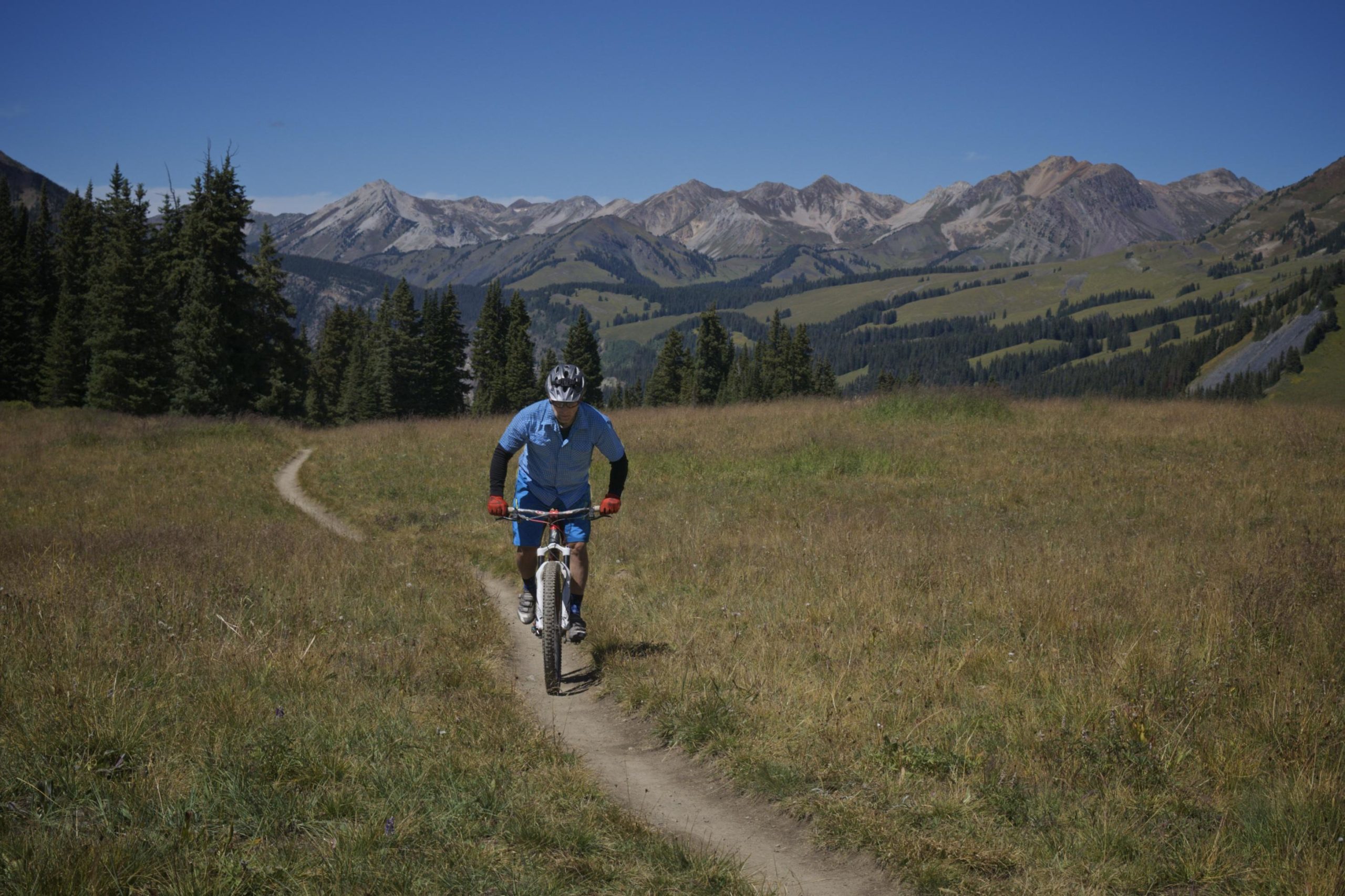 A mountain biker riding a bike along a narrow dirt trail through a grassy field, with tall pine trees and majestic mountains in the background under a clear blue sky. Trail 401 mountain bike trail.
