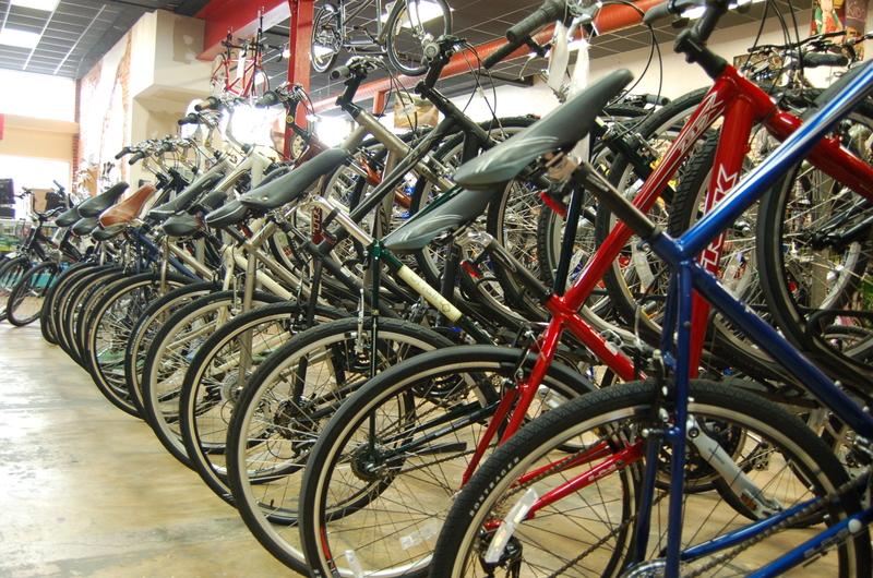 A row of bicycles parked closely together in a retail store, featuring various colors and styles, with visible bike seats and handlebars. The interior of the shop is bright and spacious, showcasing multiple bicycles lined up against a backdrop of shelves and displays.