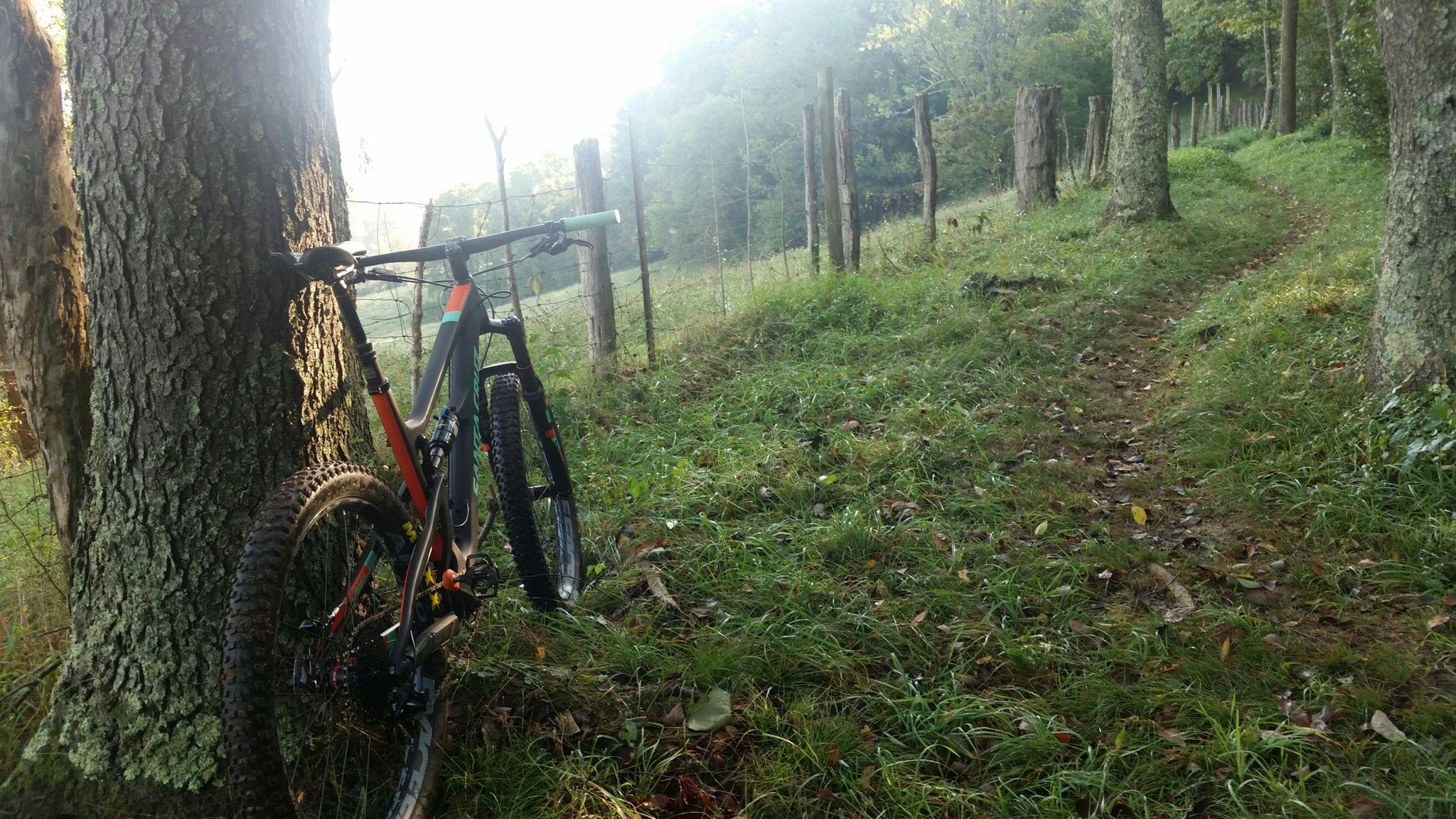 A mountain bike leaning against a tree in a grassy area, with a narrow dirt path visible in the background, surrounded by trees and a faint morning mist. Watters Smith State Park mountain bike trail.