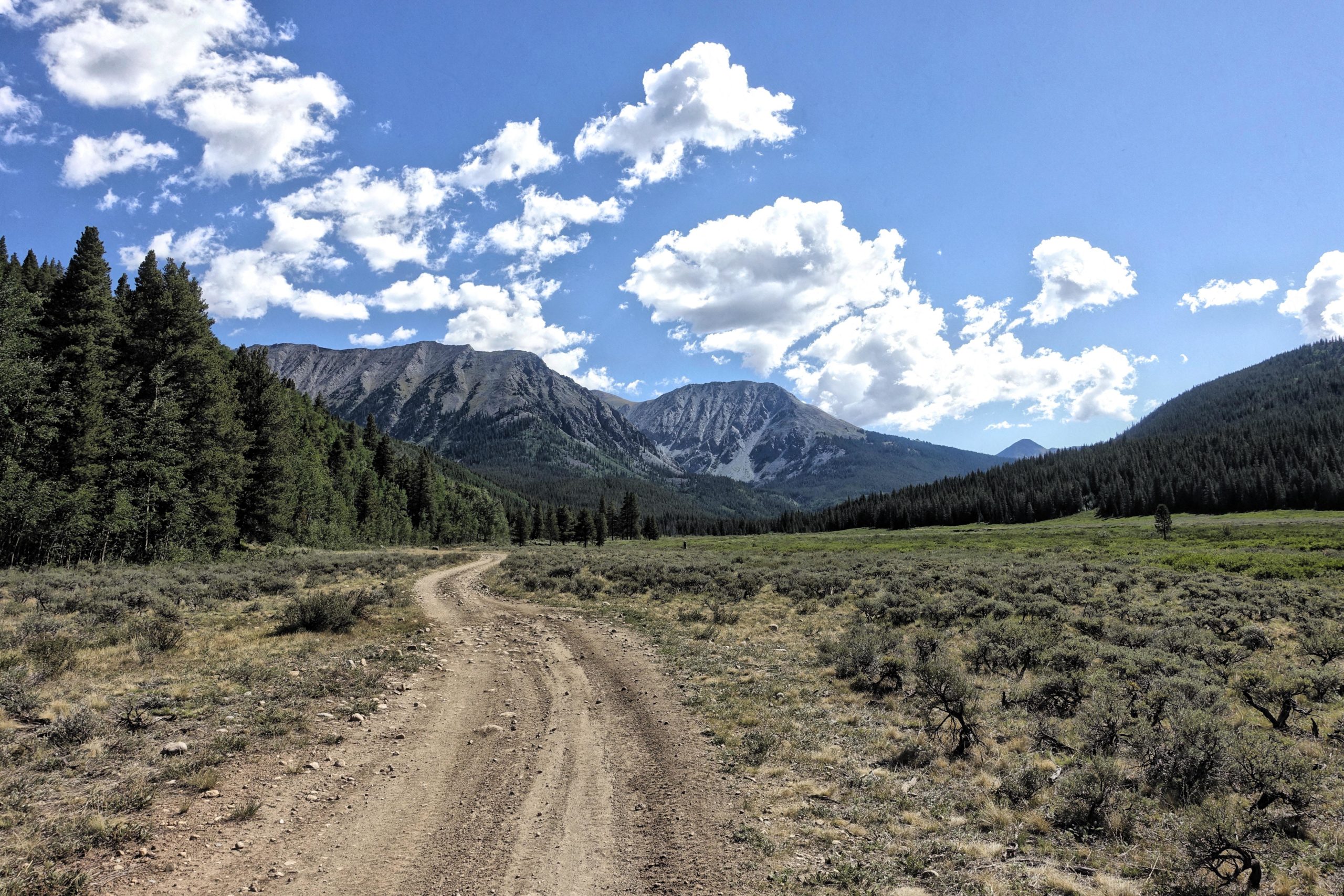 A winding dirt road leads through a lush green valley surrounded by tall trees, with rugged mountains in the background against a bright blue sky filled with fluffy white clouds. Texas Creek Road / #755 mountain bike trail.
